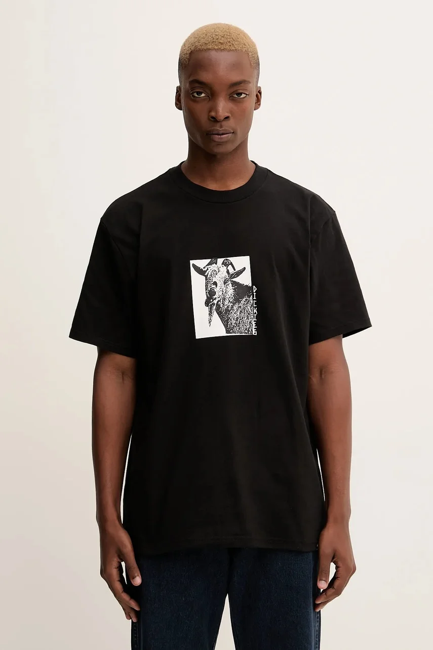 Dickies Памучна тениска