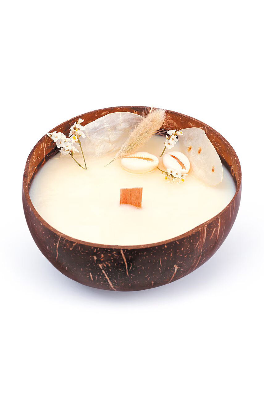 Graine Creative Комплект DIY ароматизирани свещи Coconut Candle