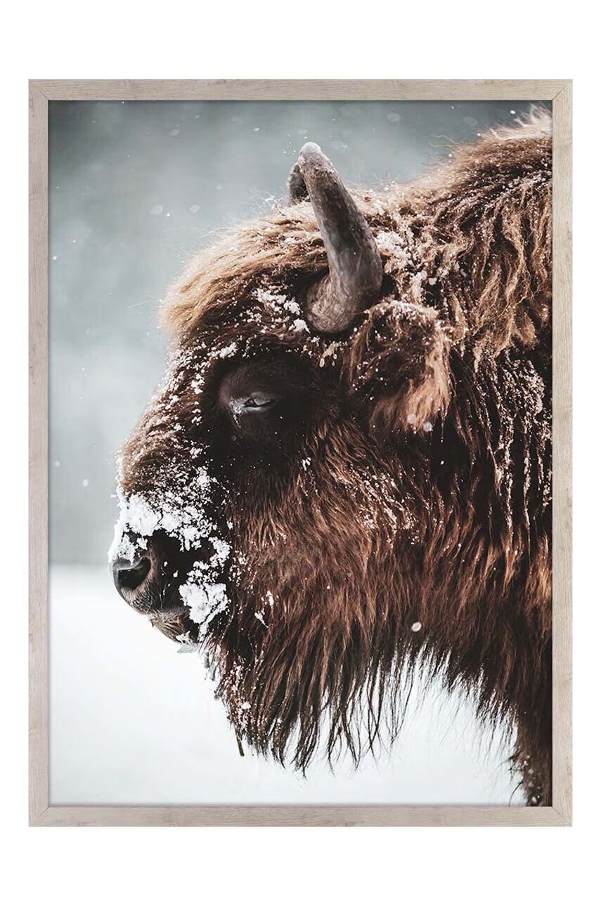 Inne Репродукция върху хартия в рамка 50x70 cm