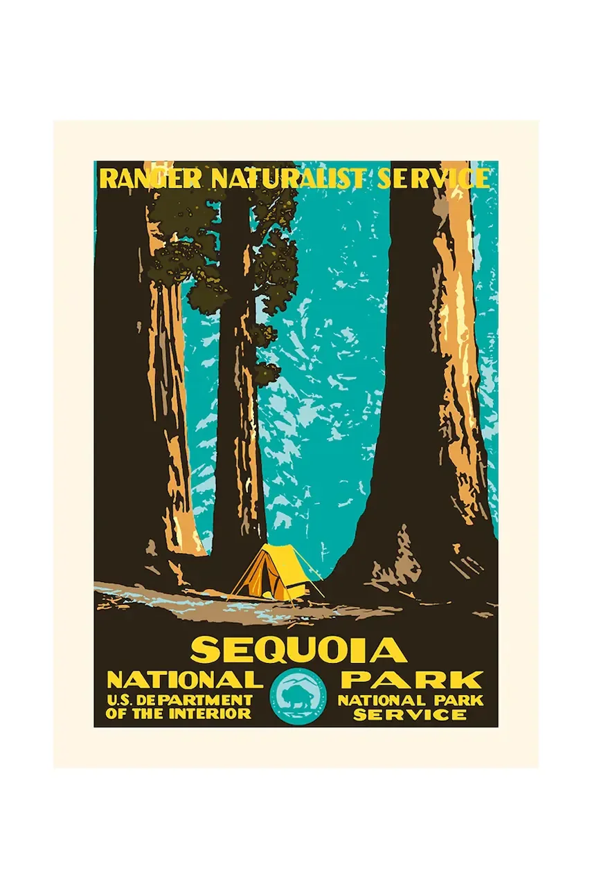 PLAKAT Декорация на стена Sequoia 30 x 40 cm