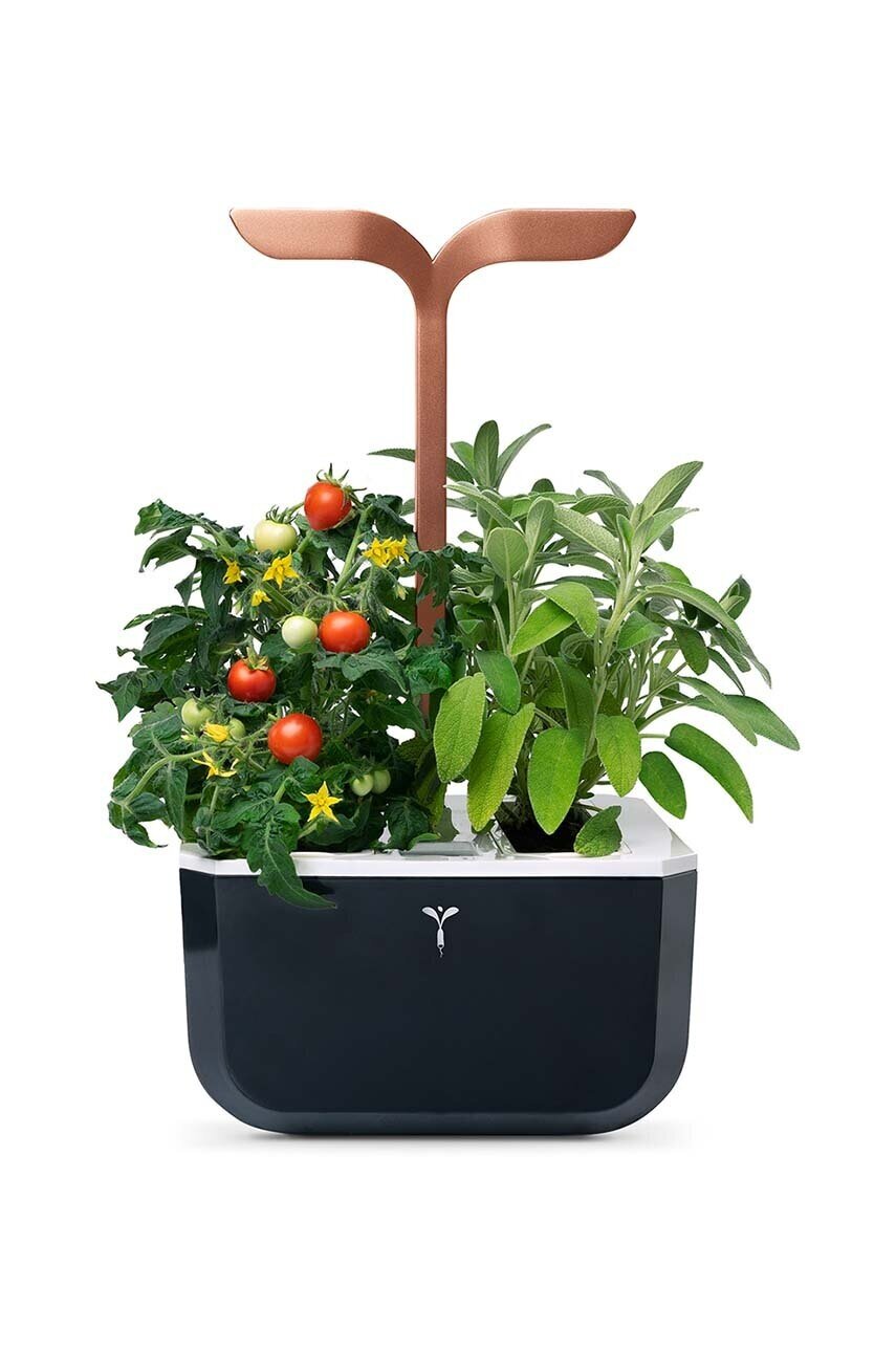 Veritable Автономна домашна градина Exky Smart 20 × 18 x 37 cm