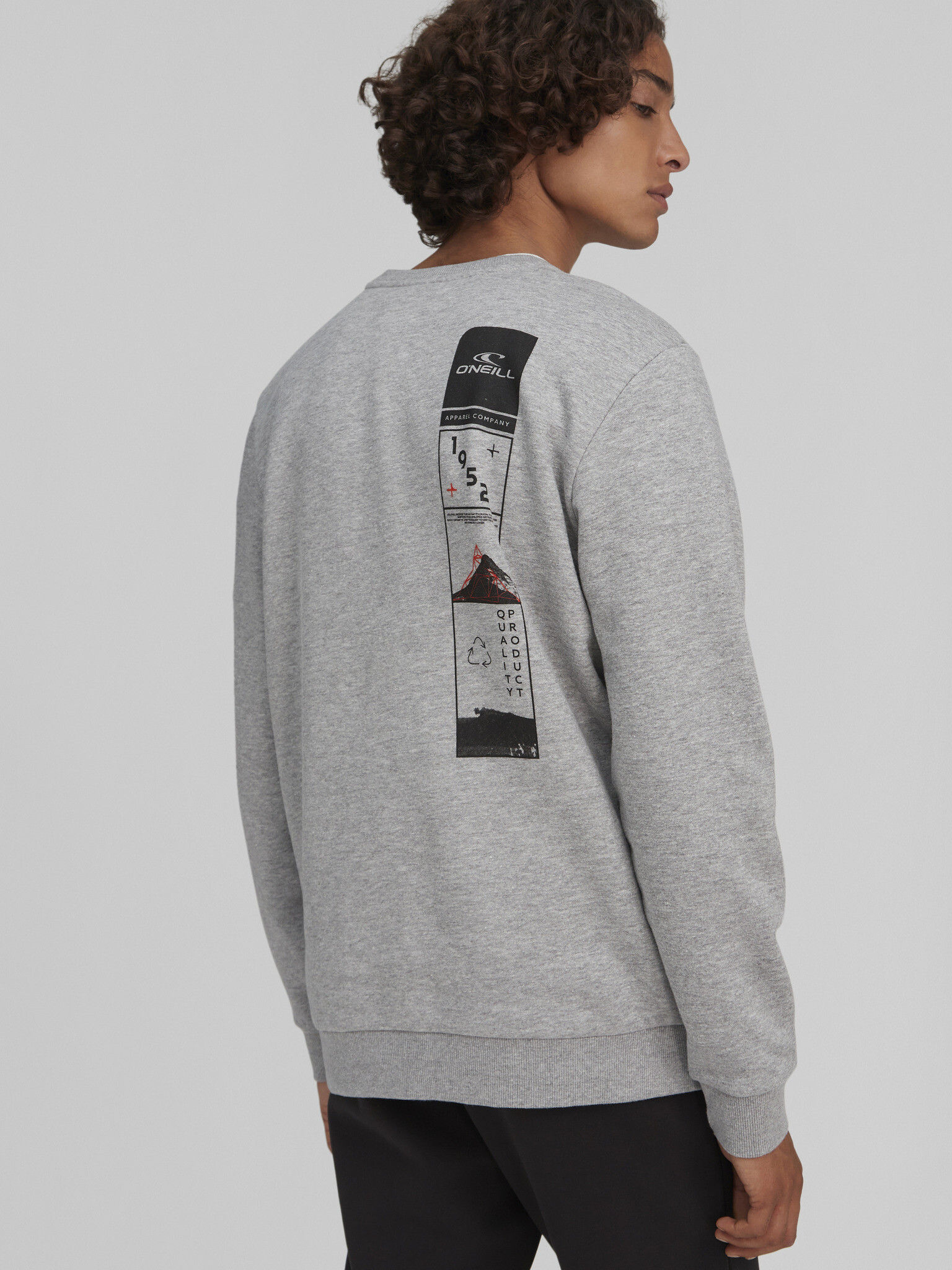 O'Neill Base Camp Sweatshirt Siv - Pepit.bg