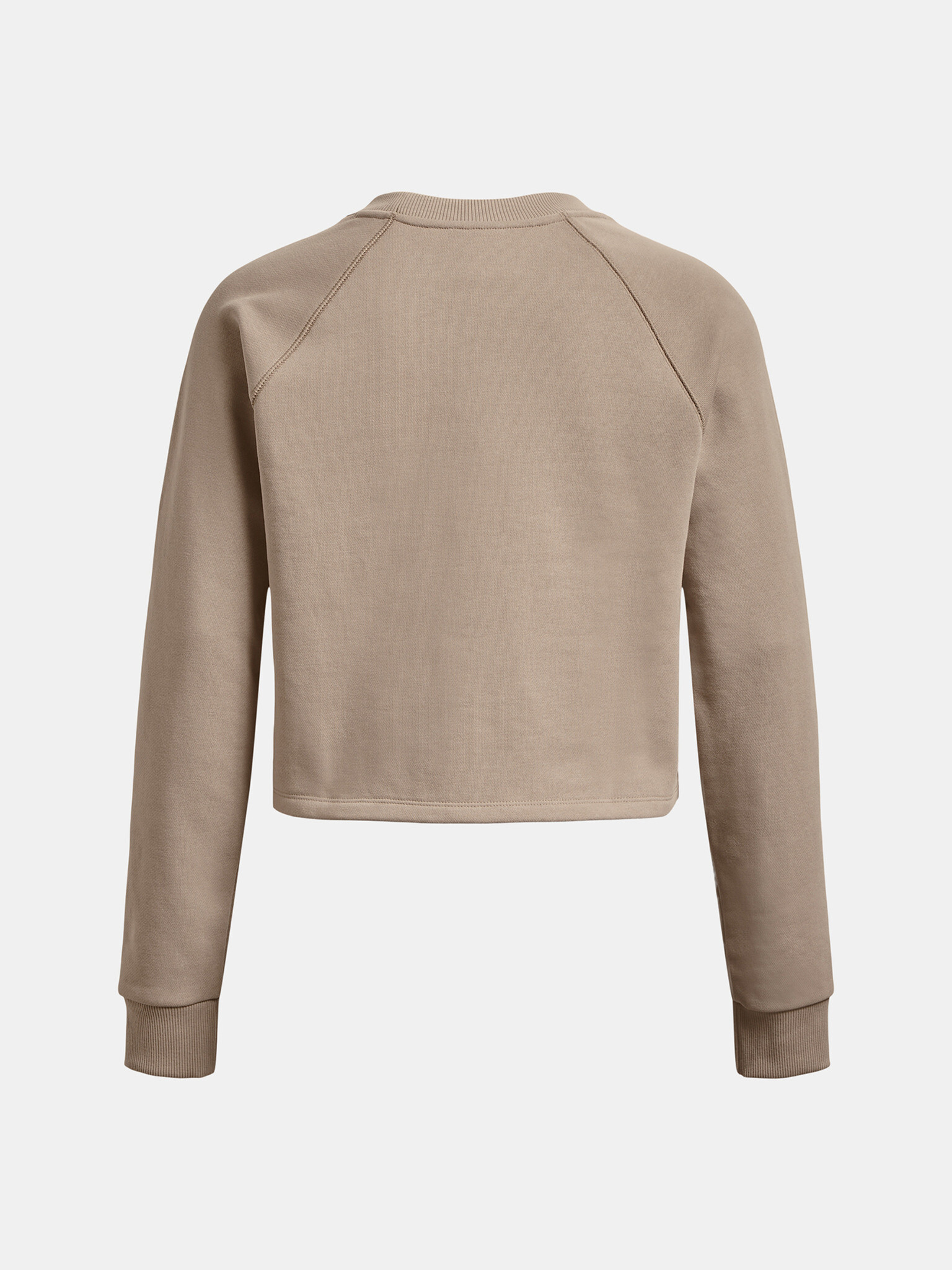 Under Armour UA Crop Terry LS BTG Sweatshirt Kafyav - Pepit.bg