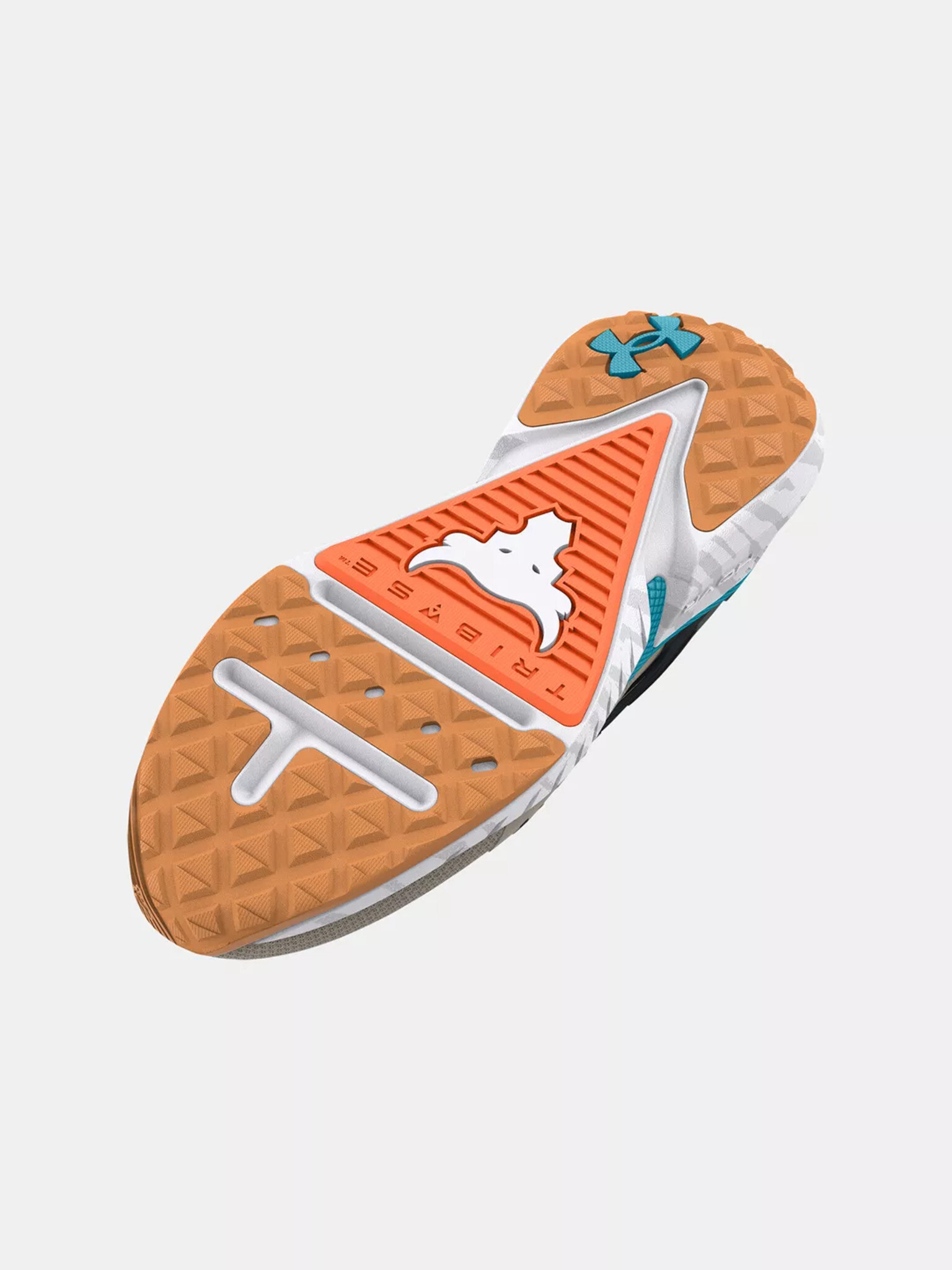 Under Armour UA Project Rock 5 Спортни обувки Siv - Pepit.bg