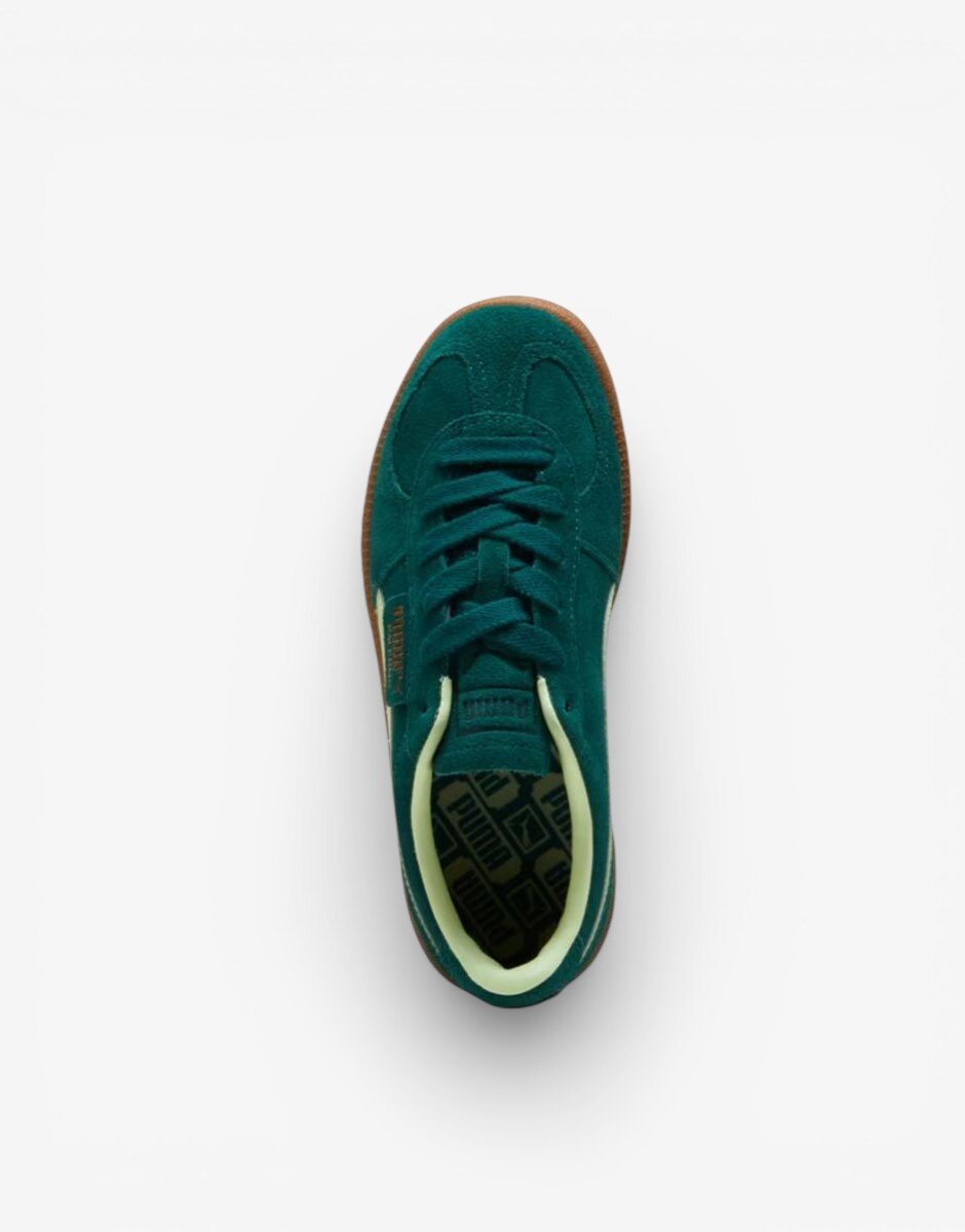 Puma Baskets Palermo Shoes Green