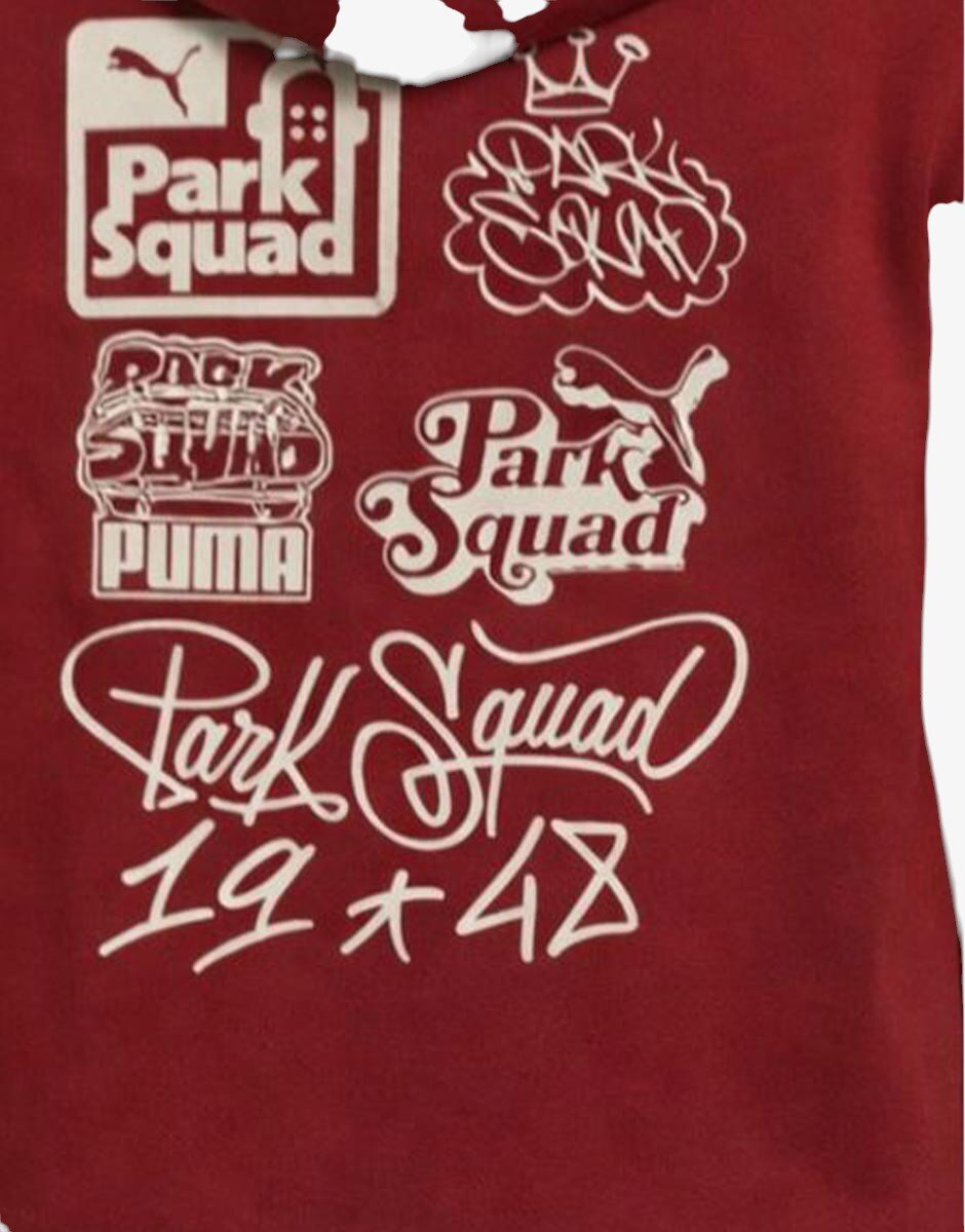 Puma Essentials Mid 90's Hoodie Red