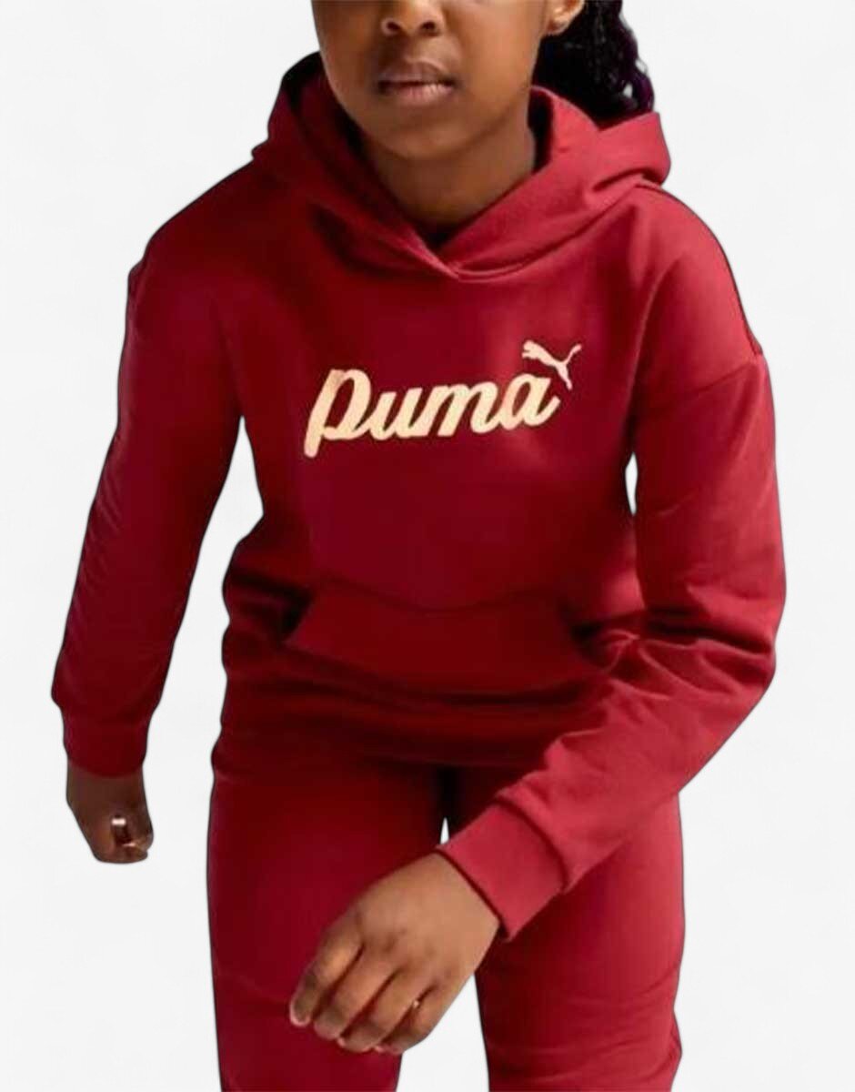 Puma Essentials+ Script Metallic Hoodie Red