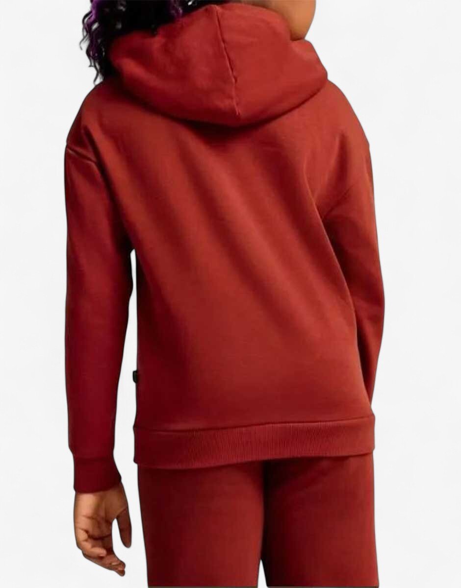 Puma Essentials+ Script Metallic Hoodie Red