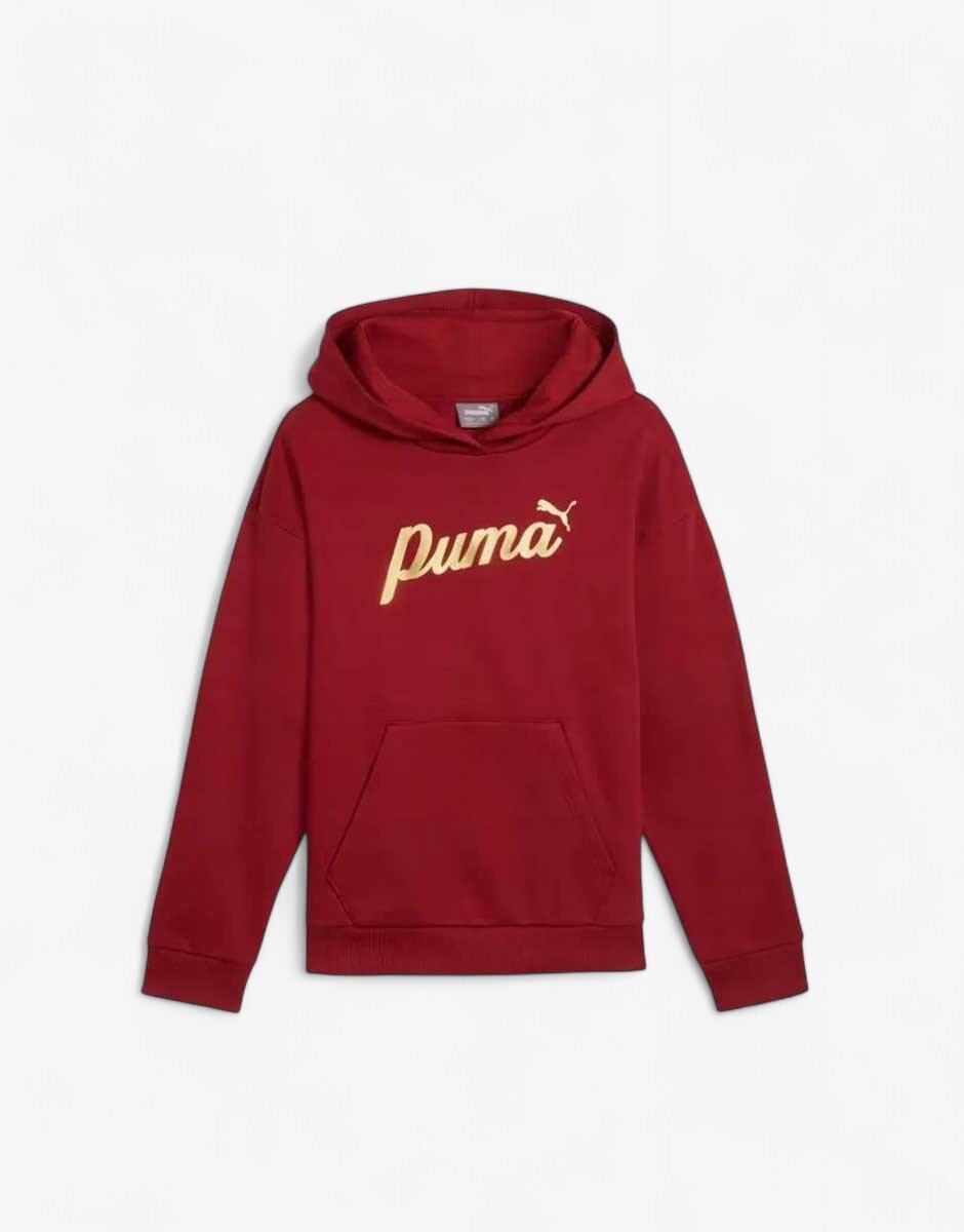 Puma Essentials+ Script Metallic Hoodie Red
