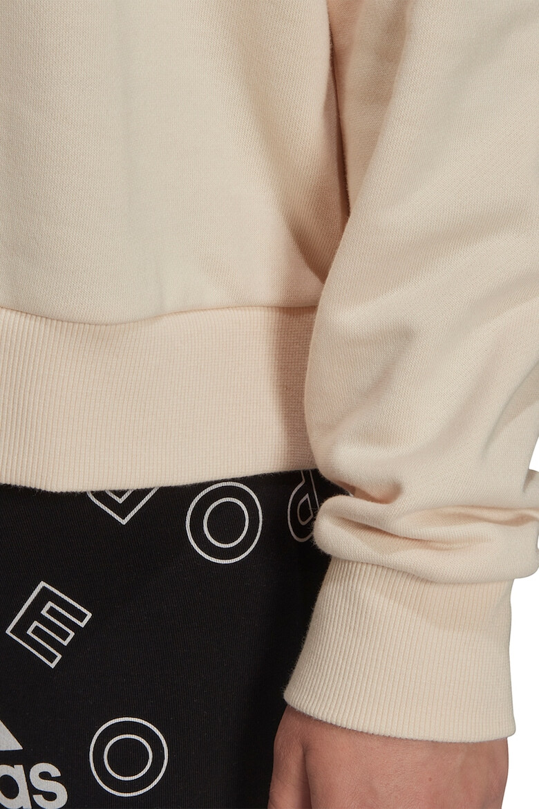 adidas Sportswear Худи Essentials с ръкави реглан - Pepit.bg
