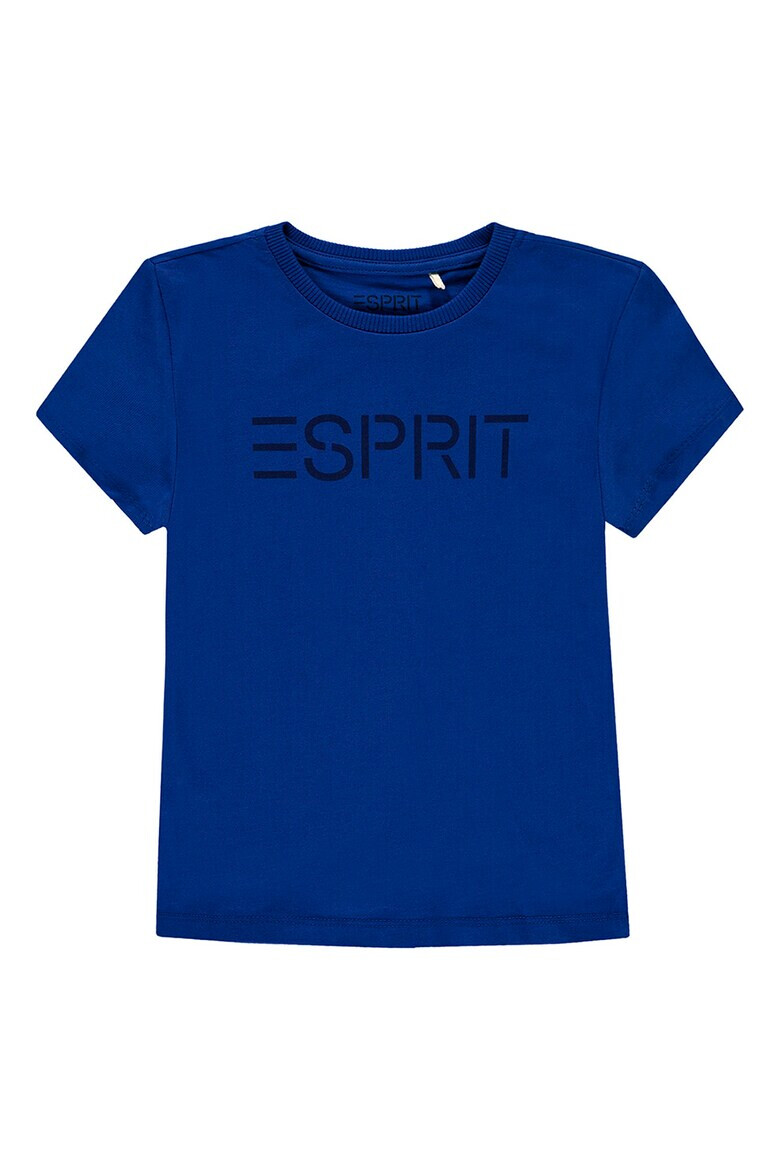 Esprit Памучна тениска на лога - Pepit.bg