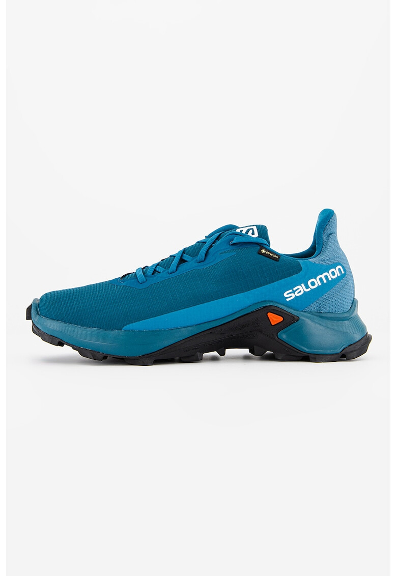 Salomon Обувки Alphacross 3 Gore-Tex за бягане - Pepit.bg