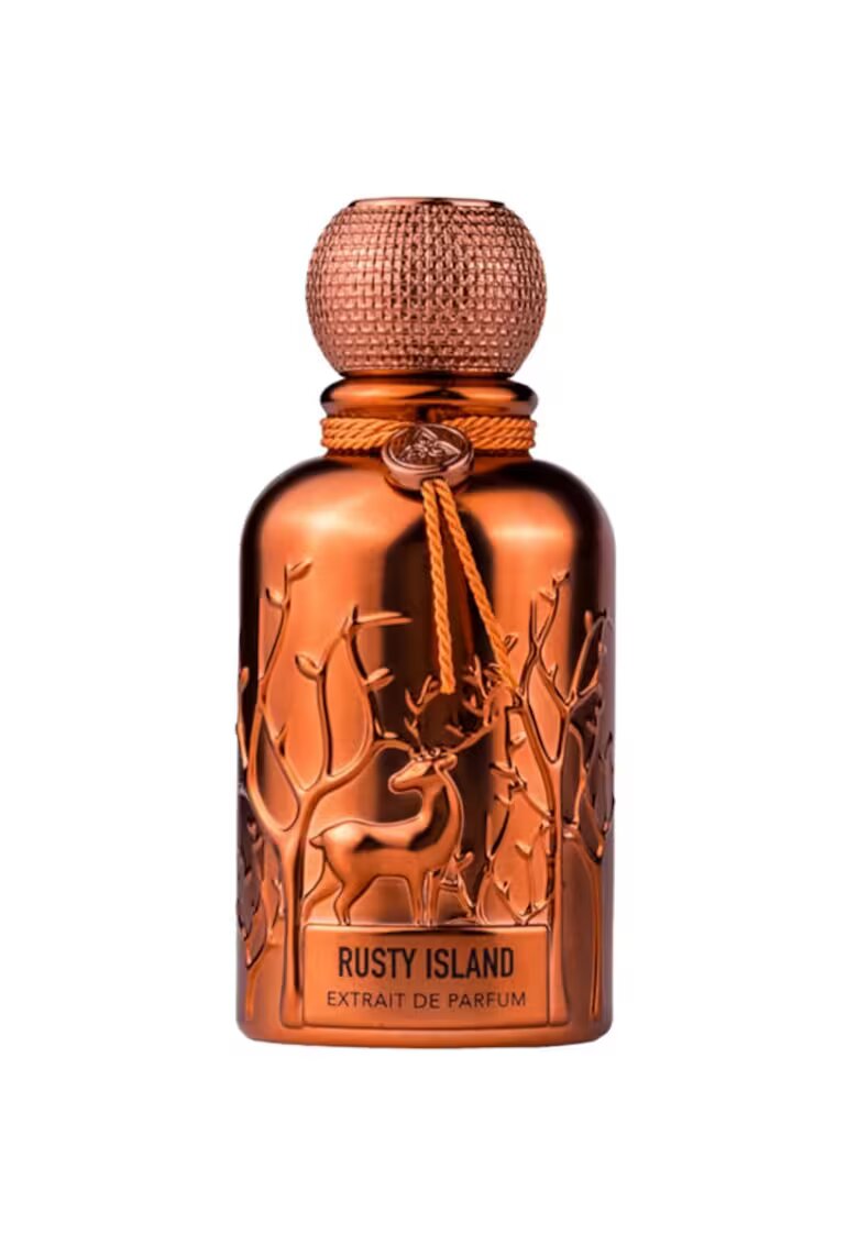 Auraa Desire Rusty Island парфюмен екстракт - мъже - 100 мл