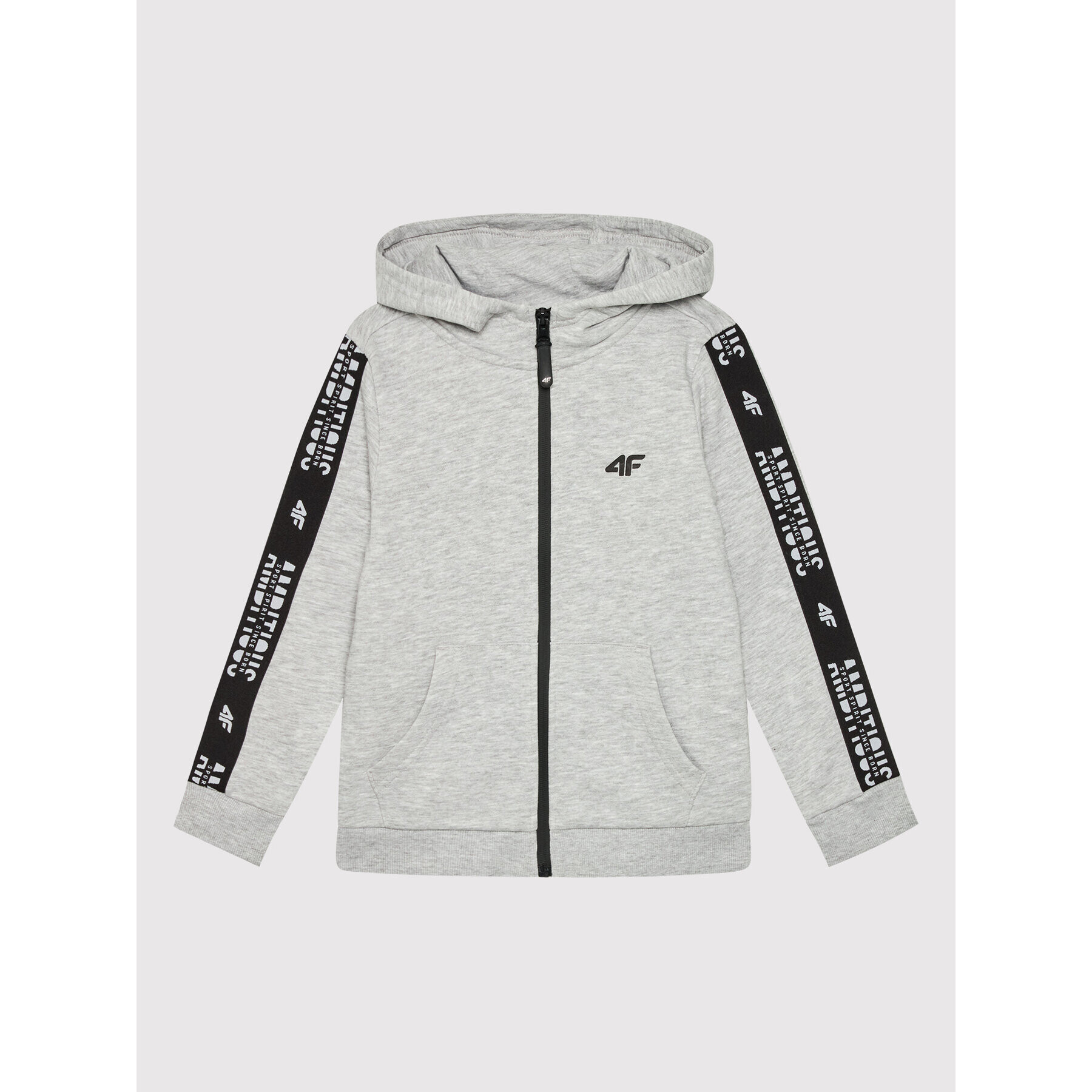 4F Суитшърт HJZ21-JBLM003A Сив Regular Fit - Pepit.bg