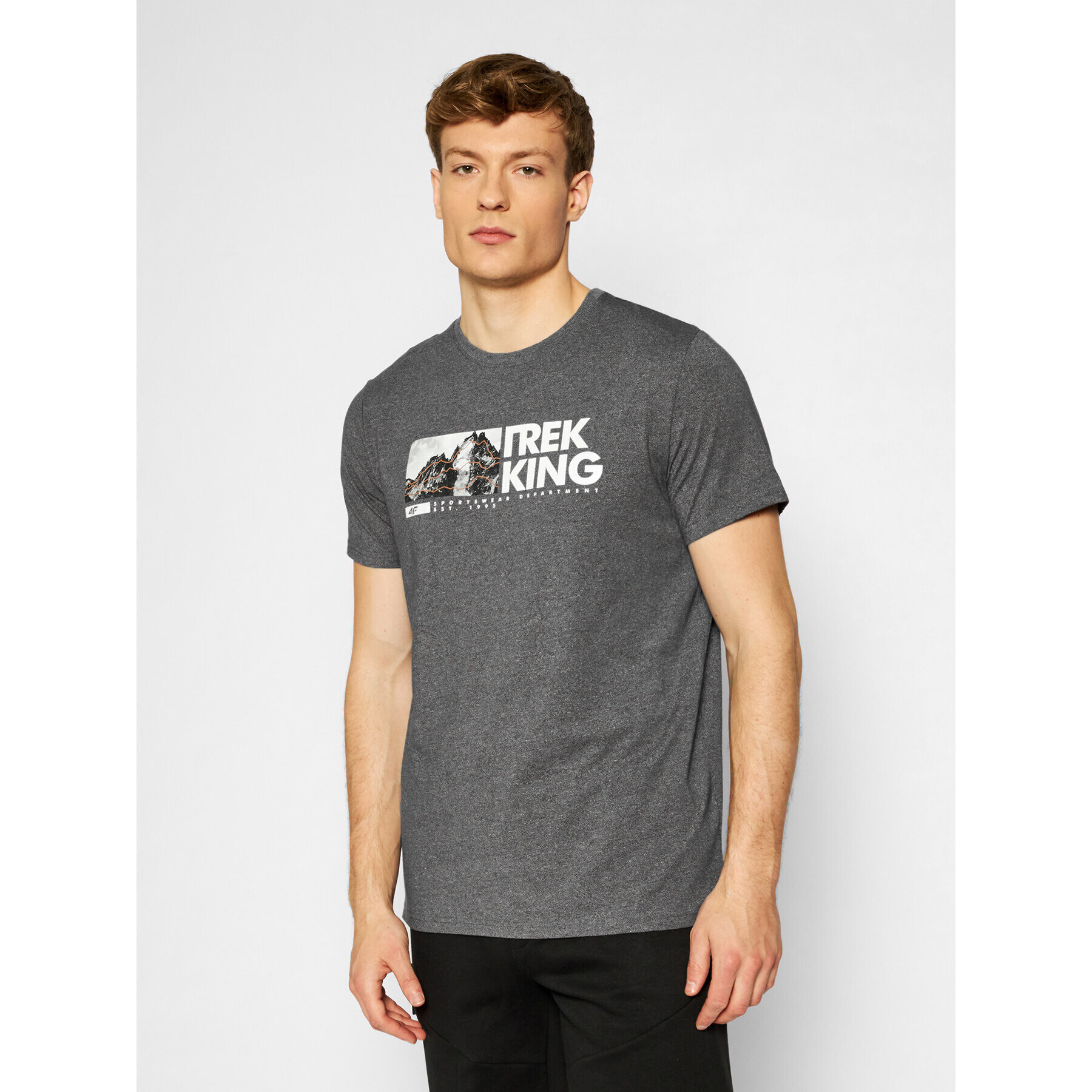4F Тишърт H4L21-TSM060 Сив Regular Fit - Pepit.bg