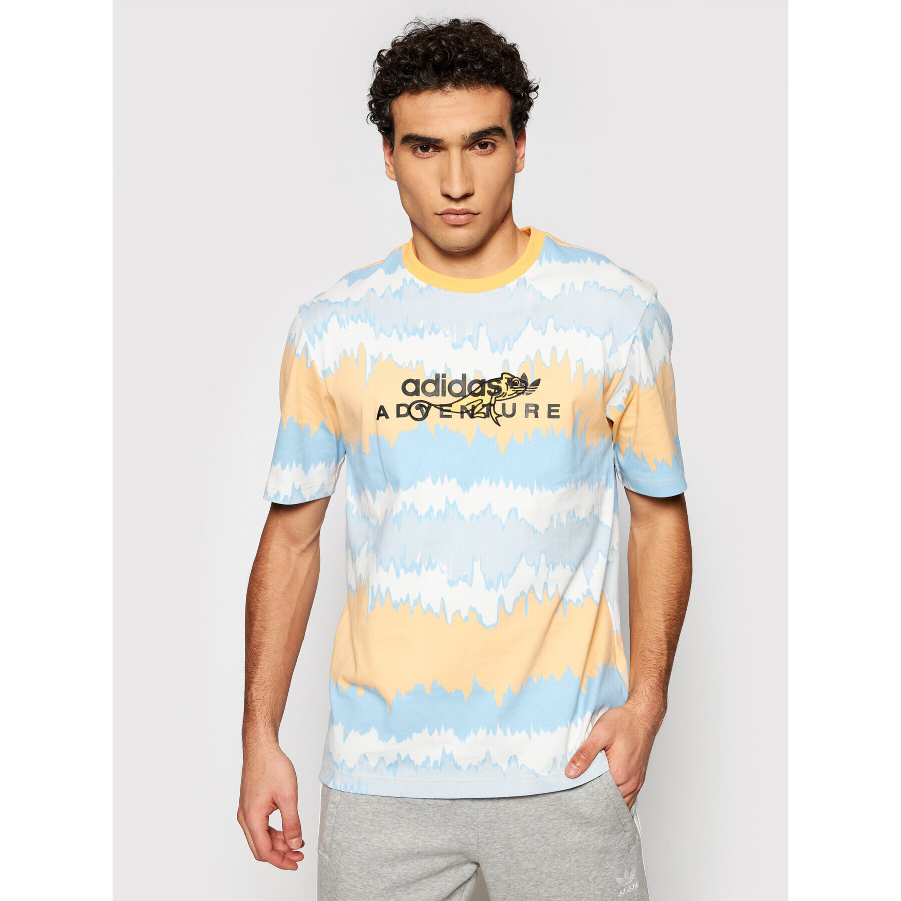 adidas Originals Тишърт Adventure Archive Printed GN2361 Цветен Regular Fit - Pepit.bg