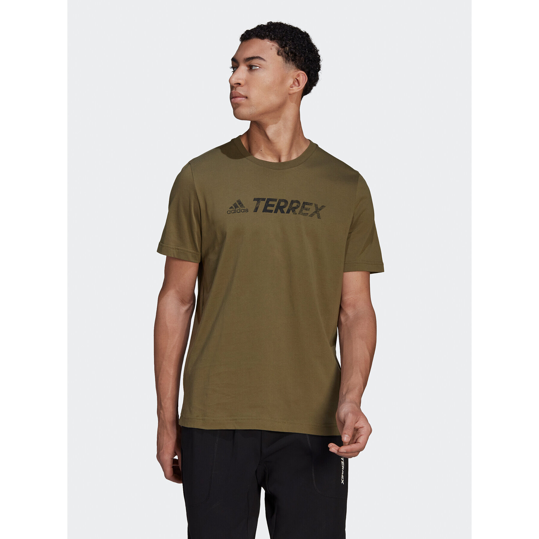 adidas Тишърт Terrex Classic Logo HF3283 Зелен Regular Fit - Pepit.bg