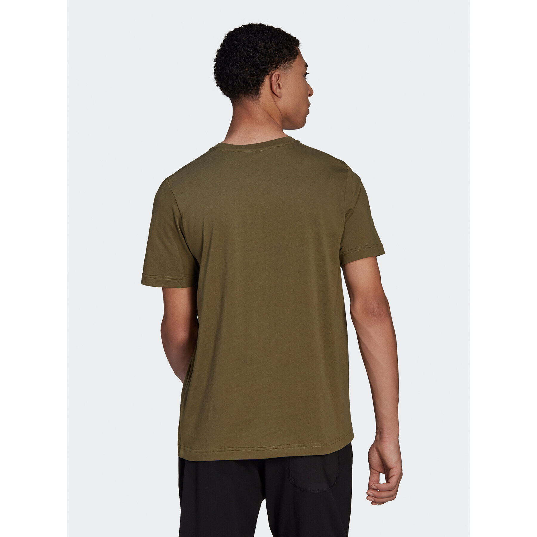 adidas Тишърт Terrex Classic Logo HF3283 Зелен Regular Fit - Pepit.bg