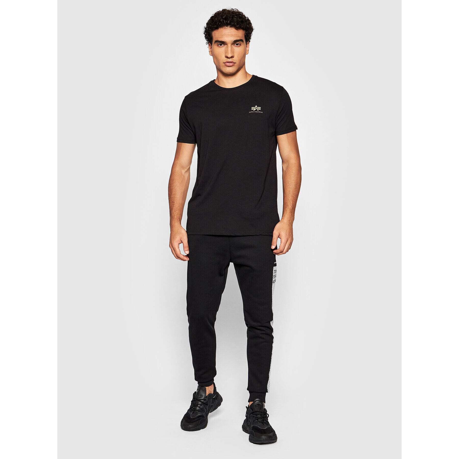 Alpha Industries Тишърт Backprint 128507CP Черен Regular Fit - Pepit.bg