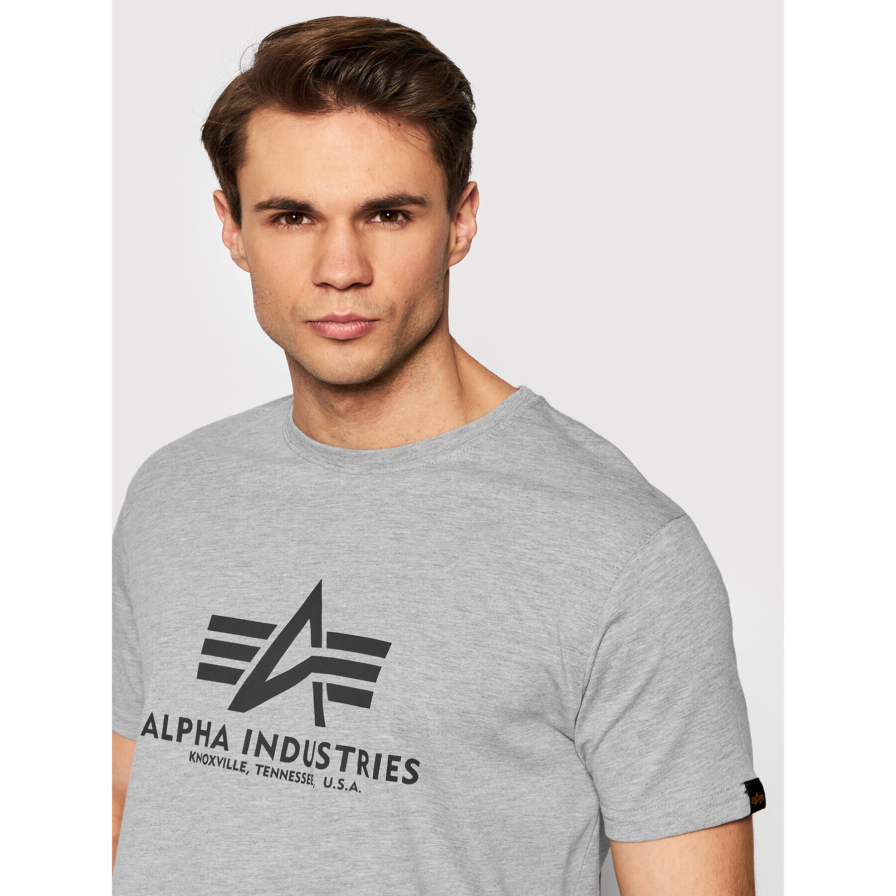 Alpha Industries Тишърт Basic 100501 Сив Regular Fit - Pepit.bg