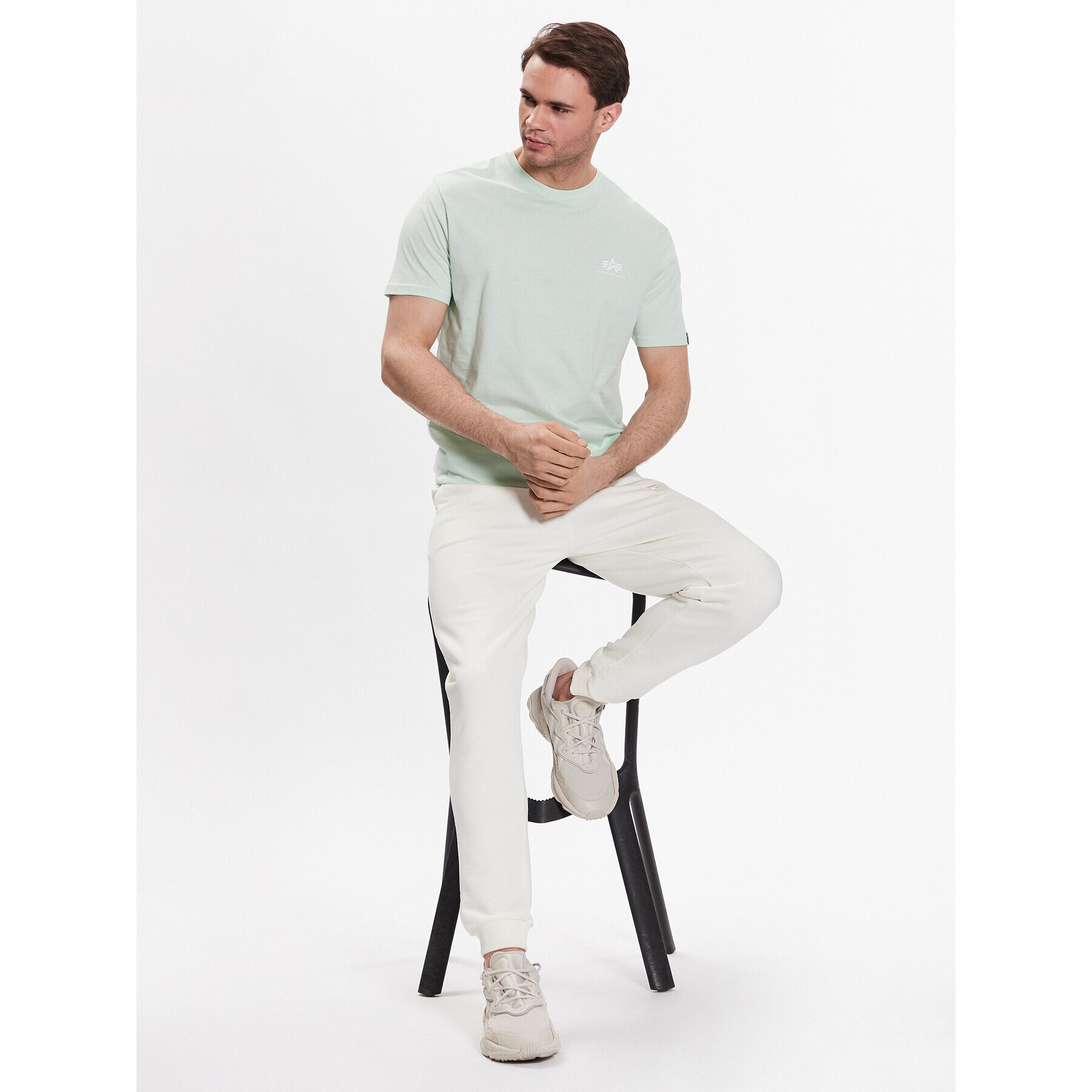 Alpha Industries Тишърт Basic T Small Logo 188505 Зелен Regular Fit - Pepit.bg