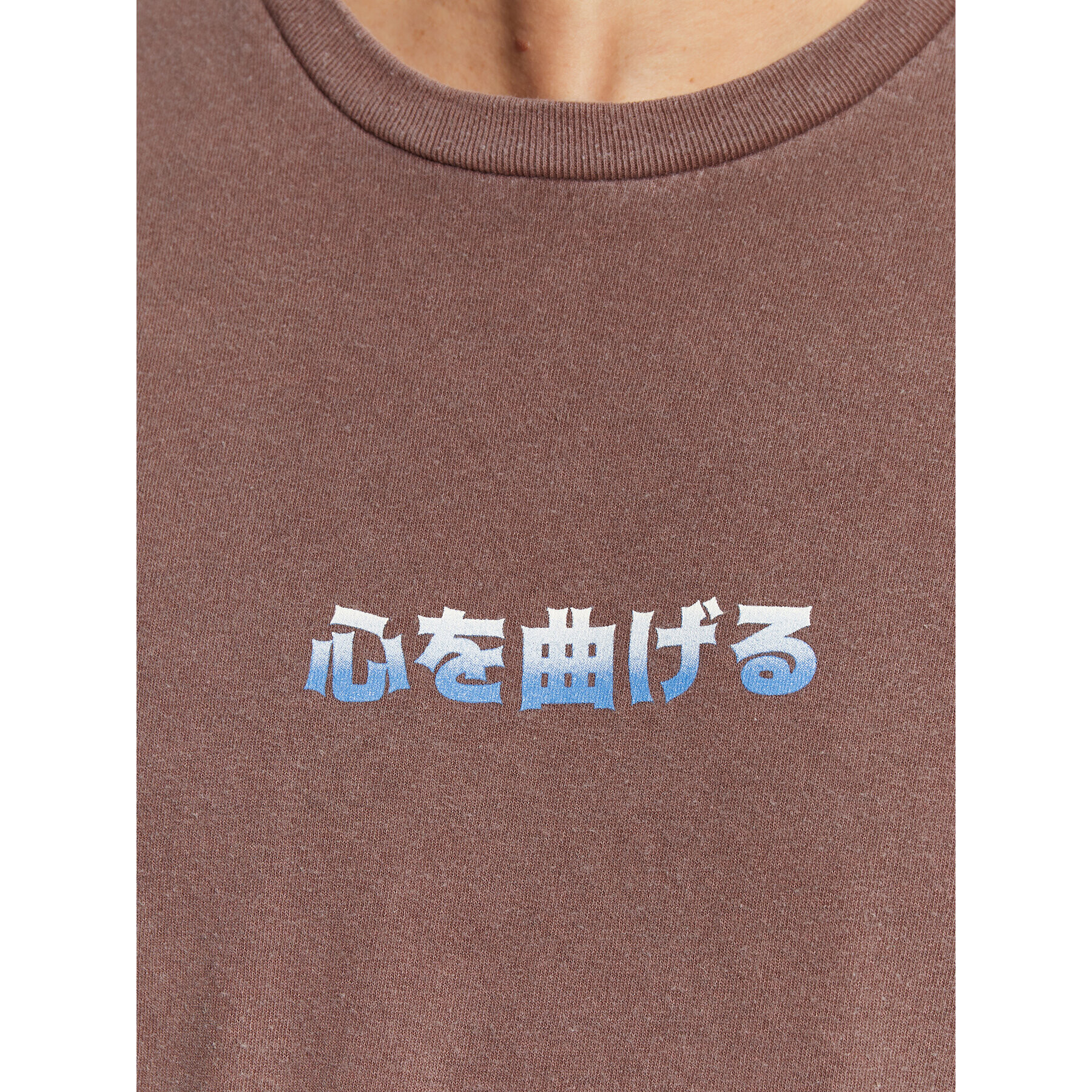 BDG Urban Outfitters Тишърт 75326025 Кафяв Regular Fit - Pepit.bg