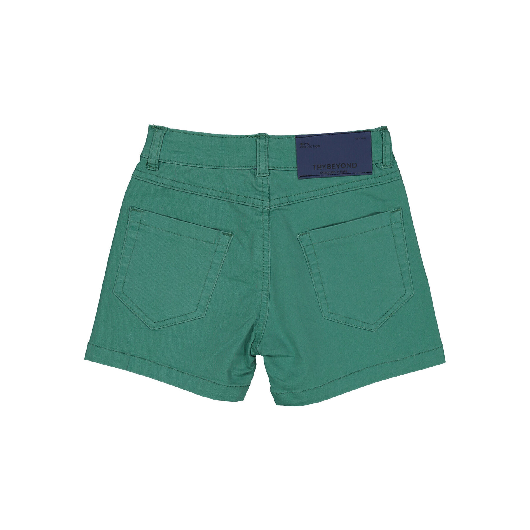 Birba Trybeyond Шорти от плат 999 61484 02 D Зелен Regular Fit - Pepit.bg