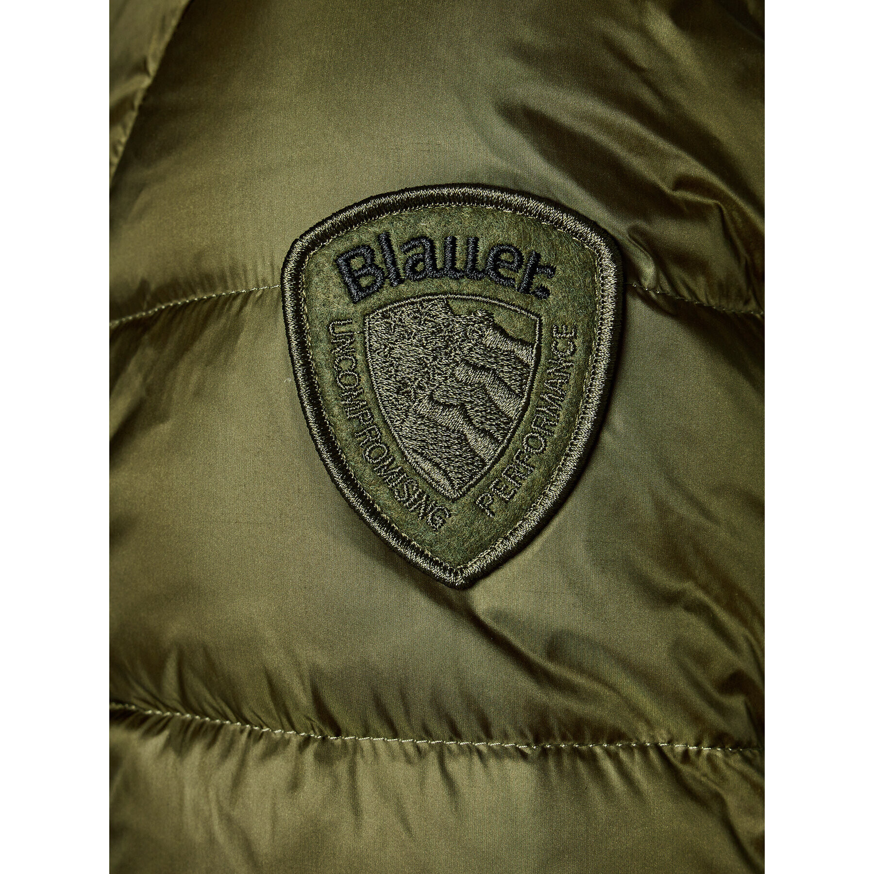 Blauer Пухено яке 23WBLUC03075 Зелен Regular Fit - Pepit.bg