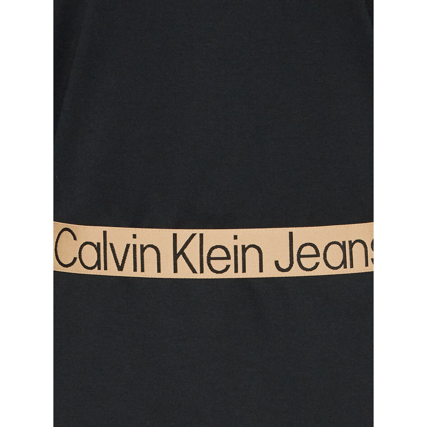 Calvin Klein Jeans Plus Ежедневна рокля J20J220863 Черен Regular Fit - Pepit.bg