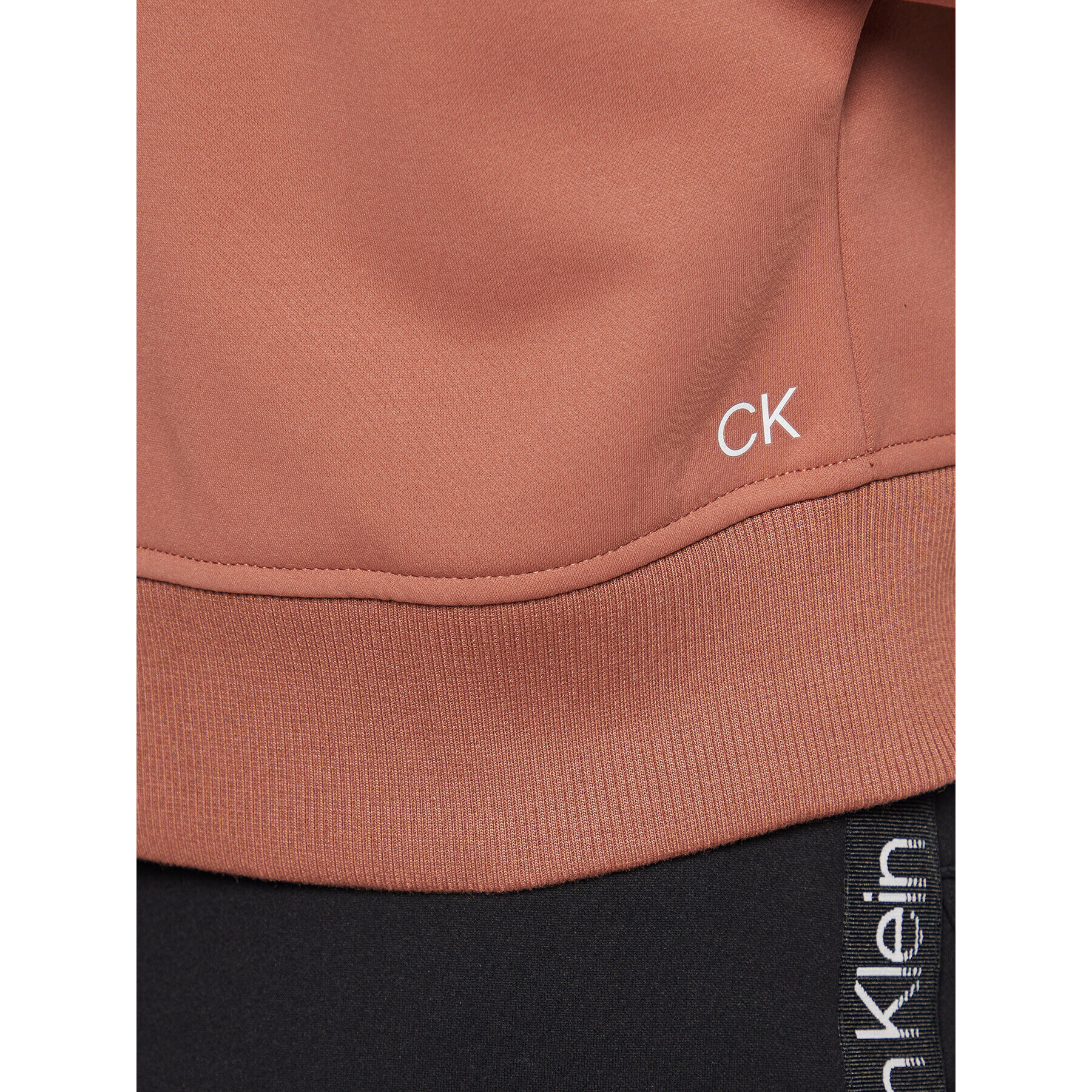 Calvin Klein Performance Суитшърт 00GWF2W300 Кафяв Regular Fit - Pepit.bg