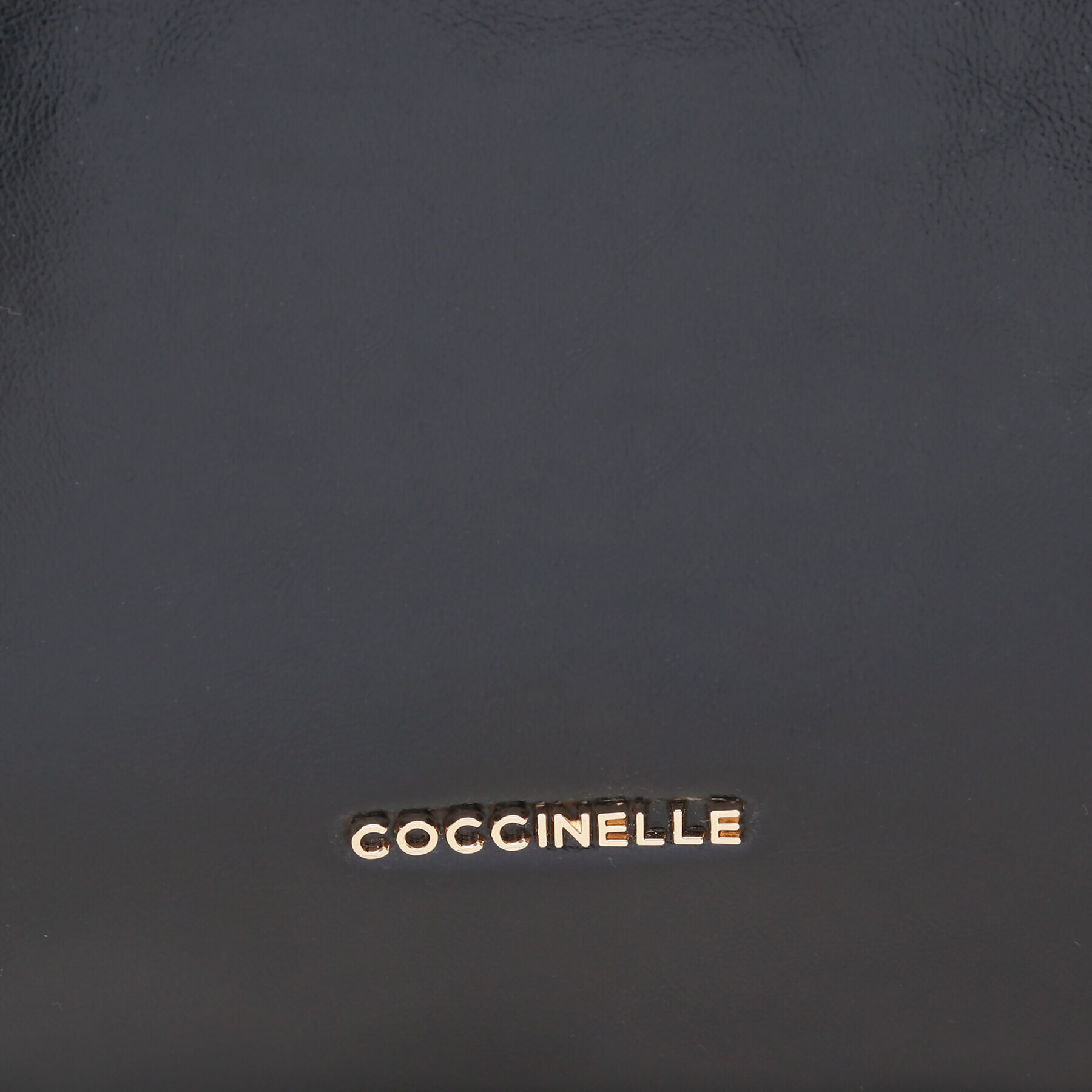 Coccinelle Раница N16 gleen Rock E1 N16 14 02 01 Черен - Pepit.bg