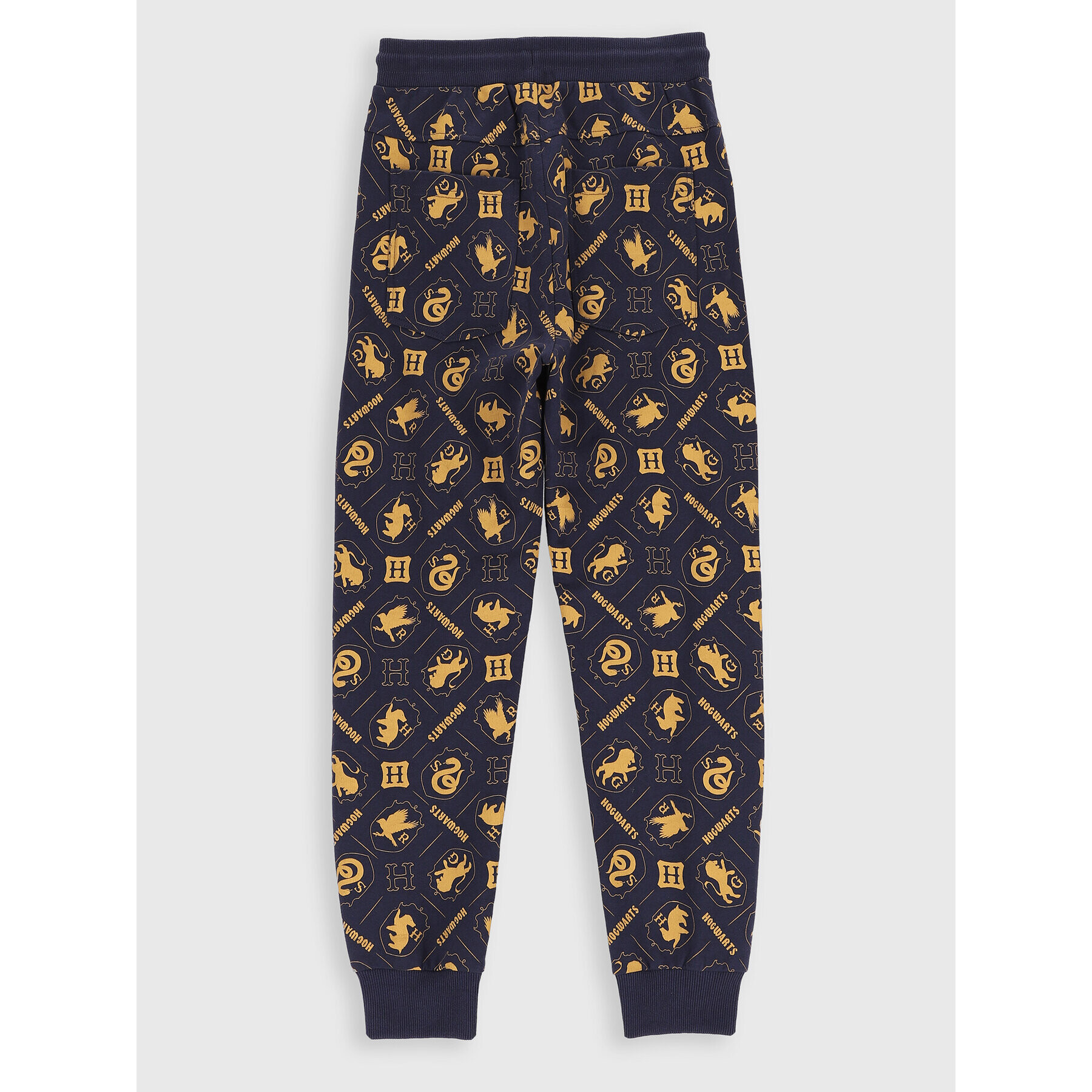 Coccodrillo Долнище анцуг HARRY POTTER ZC2120105LIB Тъмносин Regular Fit - Pepit.bg