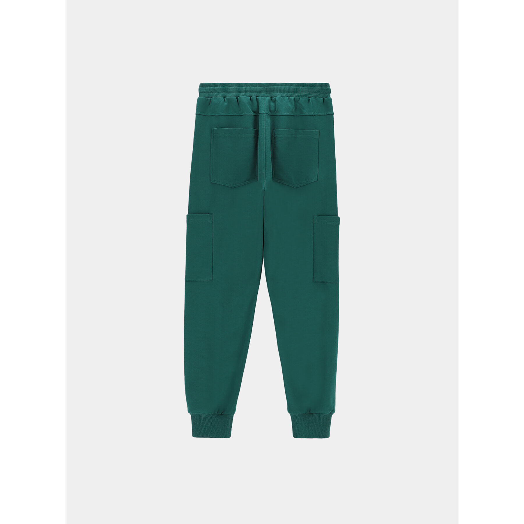 Coccodrillo Долнище анцуг ZC3120104ASJ Зелен Regular Fit - Pepit.bg