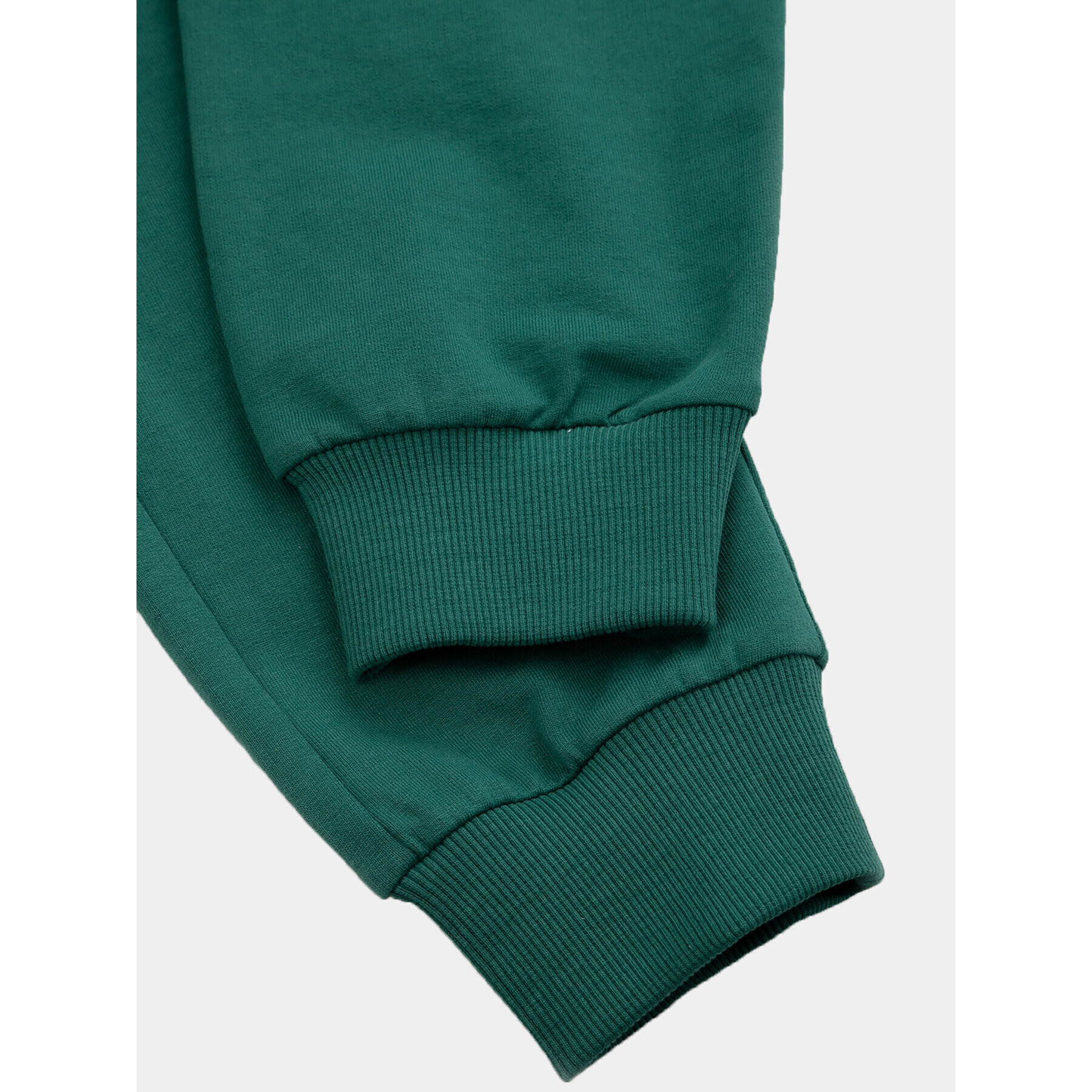 Coccodrillo Долнище анцуг ZC3120104ASJ Зелен Regular Fit - Pepit.bg