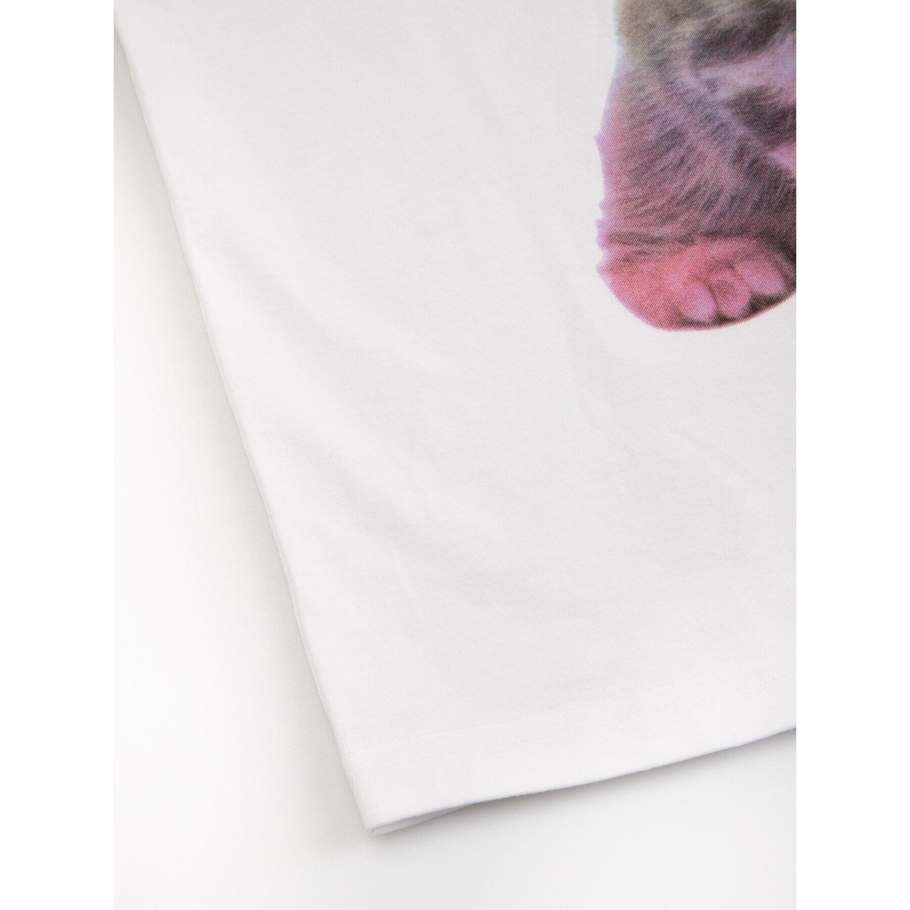 Coccodrillo Тишърт WC3143201DRK Бял Regular Fit - Pepit.bg
