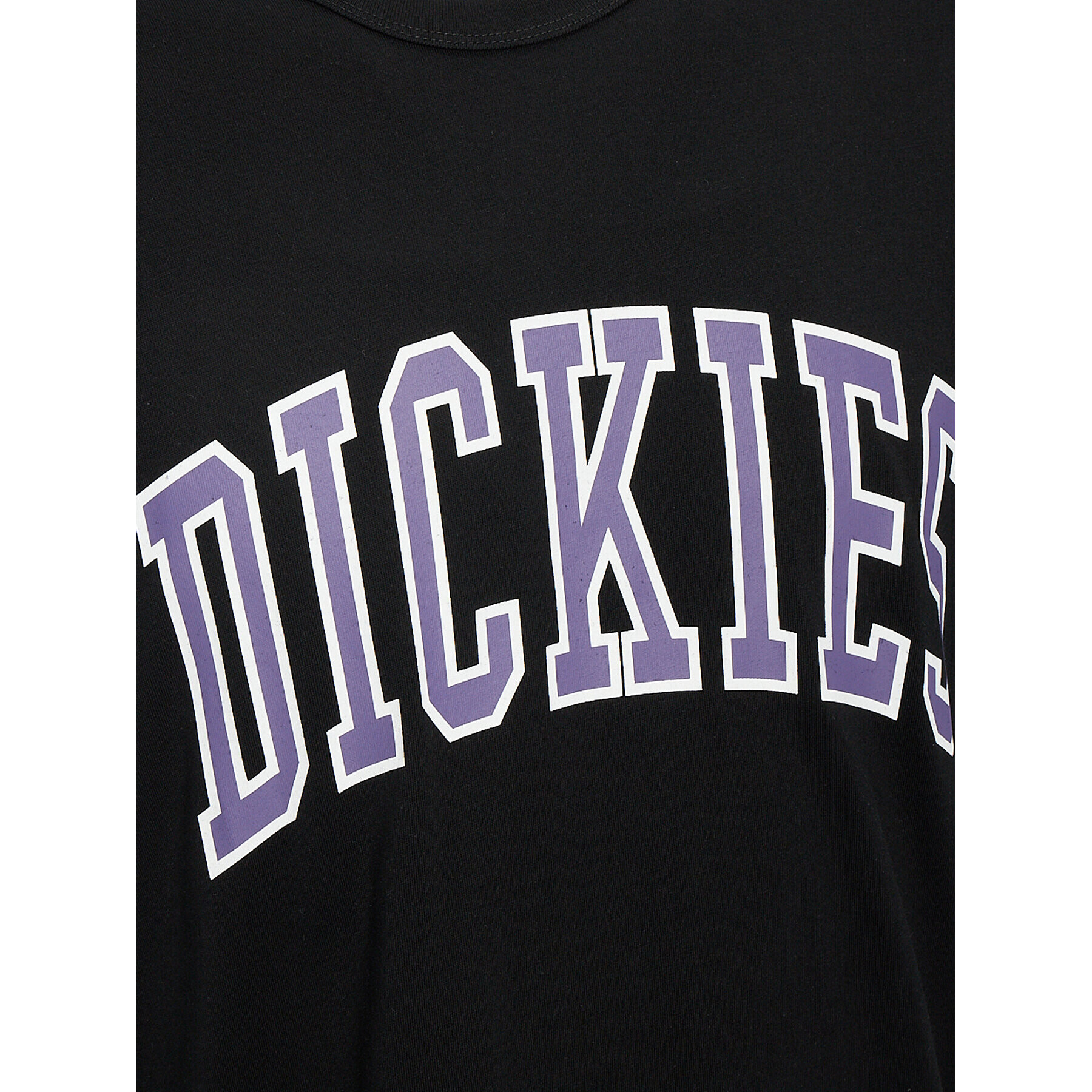 Dickies Тишърт Aitkin DK0A4X9F Черен Regular Fit - Pepit.bg