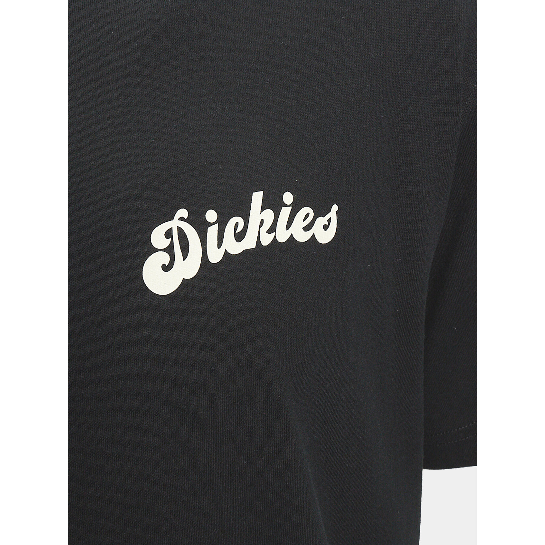 Dickies Тишърт Grainfield DK0A4YJY Черен Regular Fit - Pepit.bg