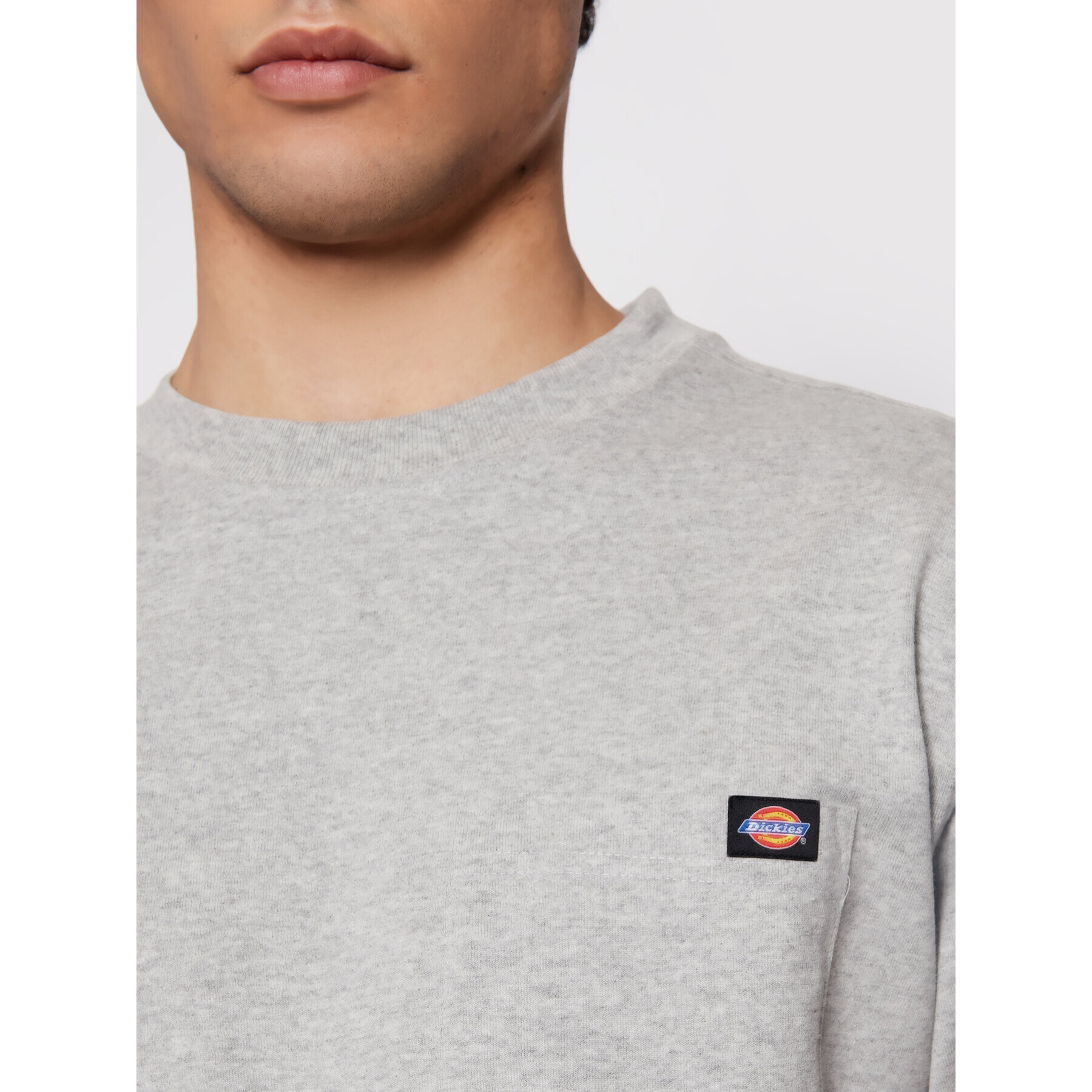 Dickies Тишърт Porterdale DK0A4TMOHG0 Сив Regular Fit - Pepit.bg