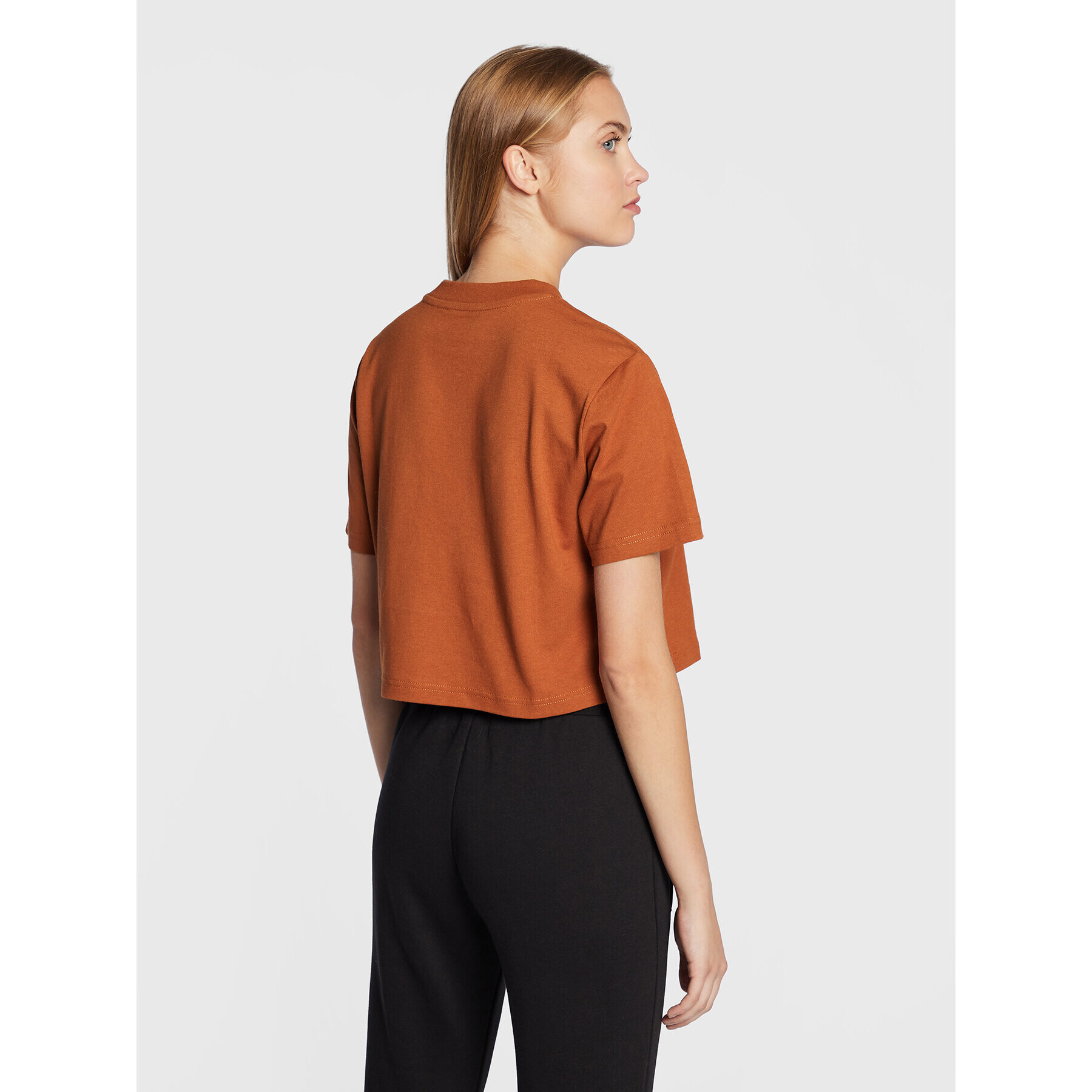 Dickies Тишърт Porterdale DK0A4XDEIEX Кафяв Relaxed Fit - Pepit.bg