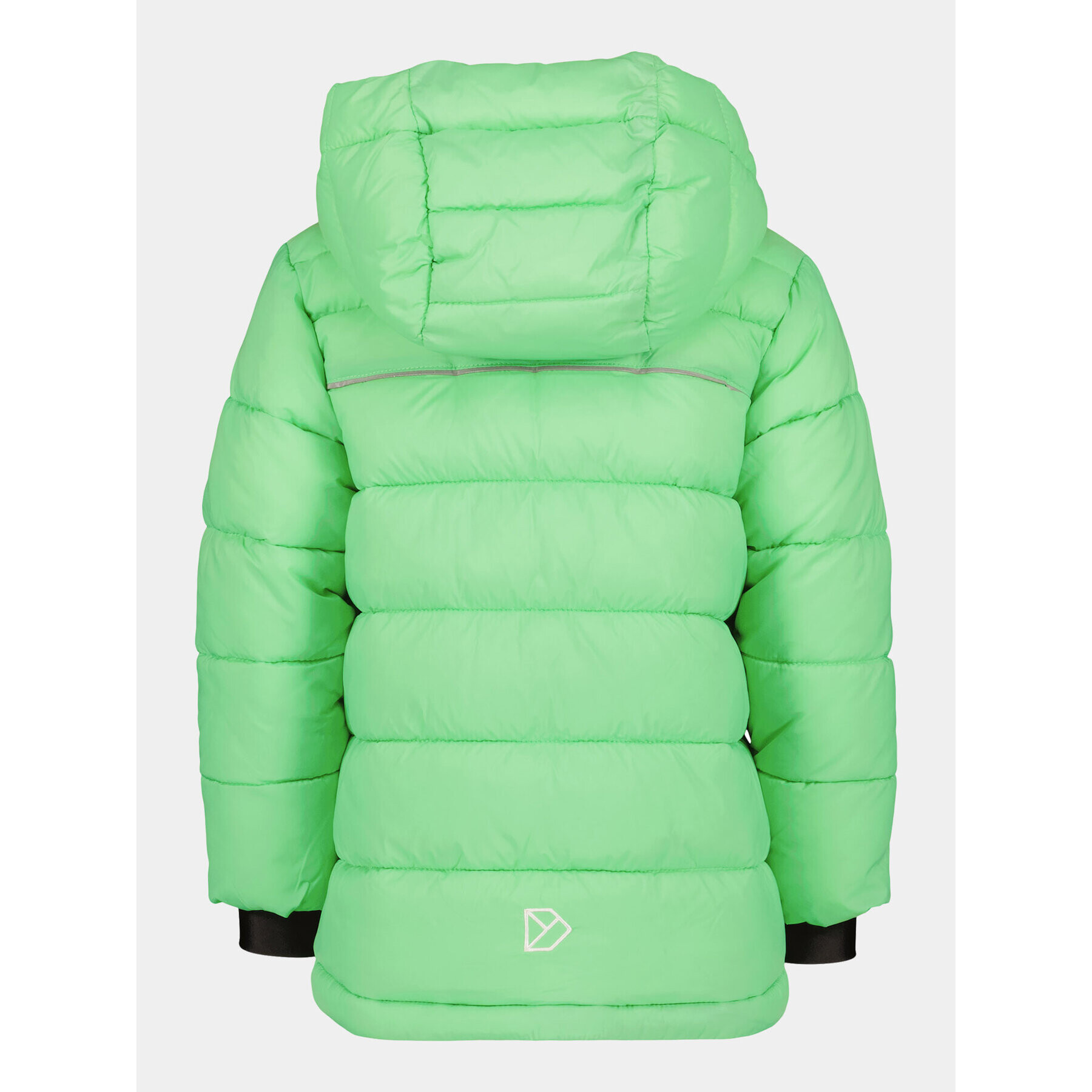 Didriksons Зимно яке Rodi Kids Jacket 2 504983 Зелен - Pepit.bg