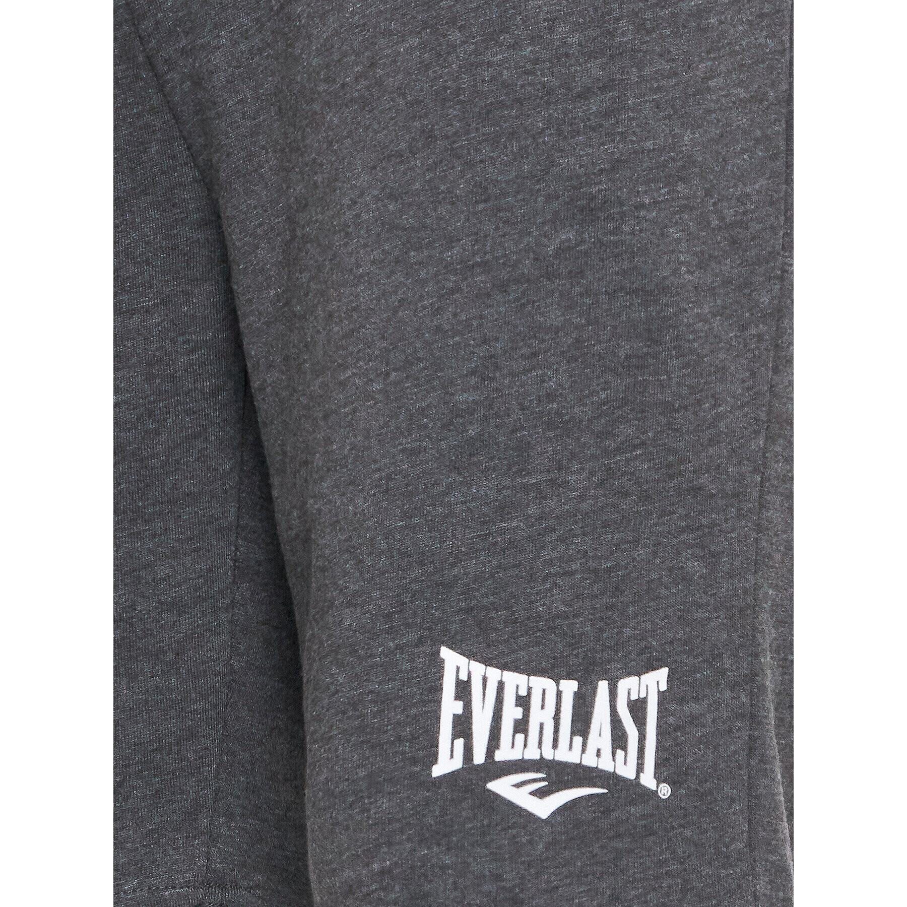 Everlast Спортни шорти 810522-60 Сив Regular Fit - Pepit.bg
