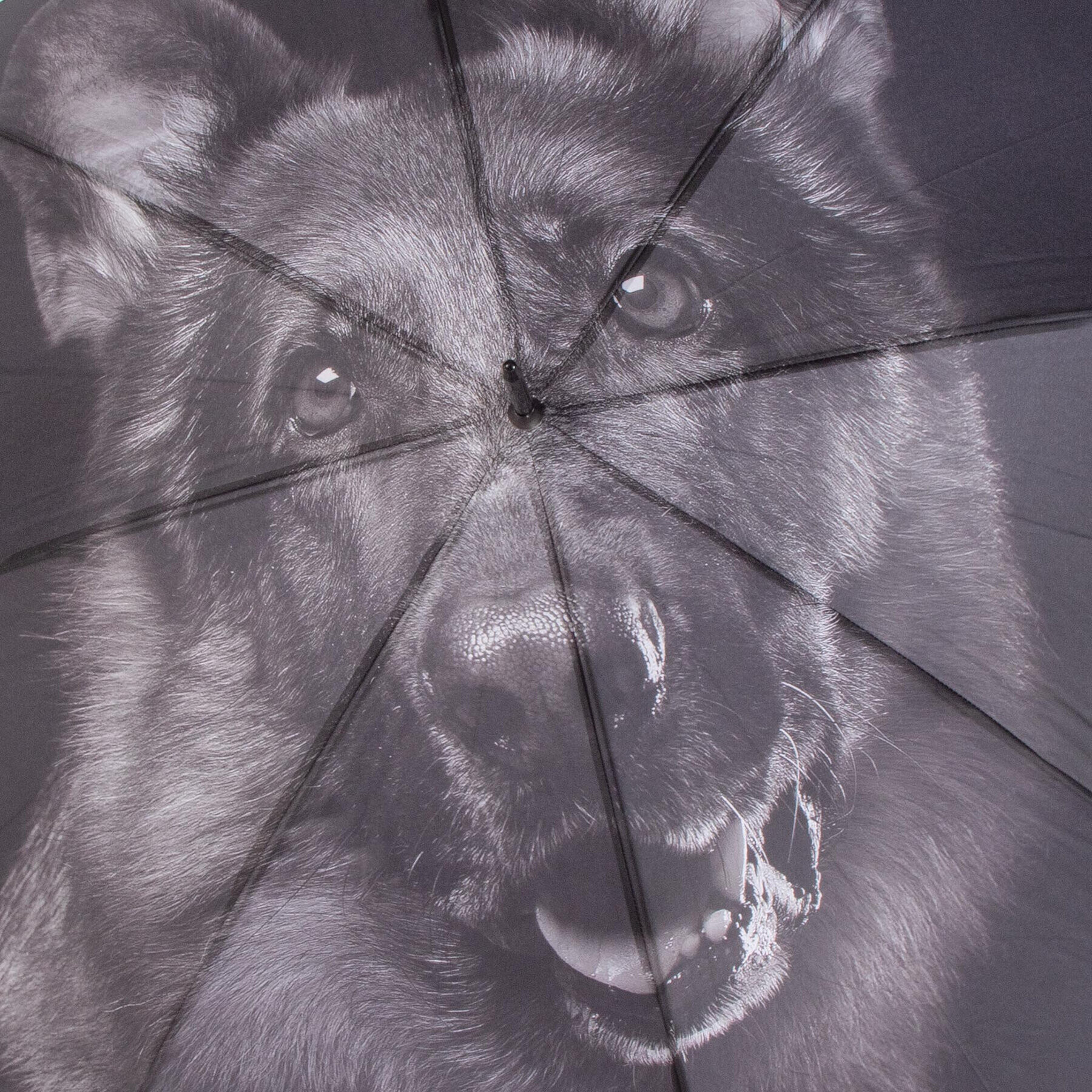 Happy Rain Чадър Long Ac 41098 Черен - Pepit.bg