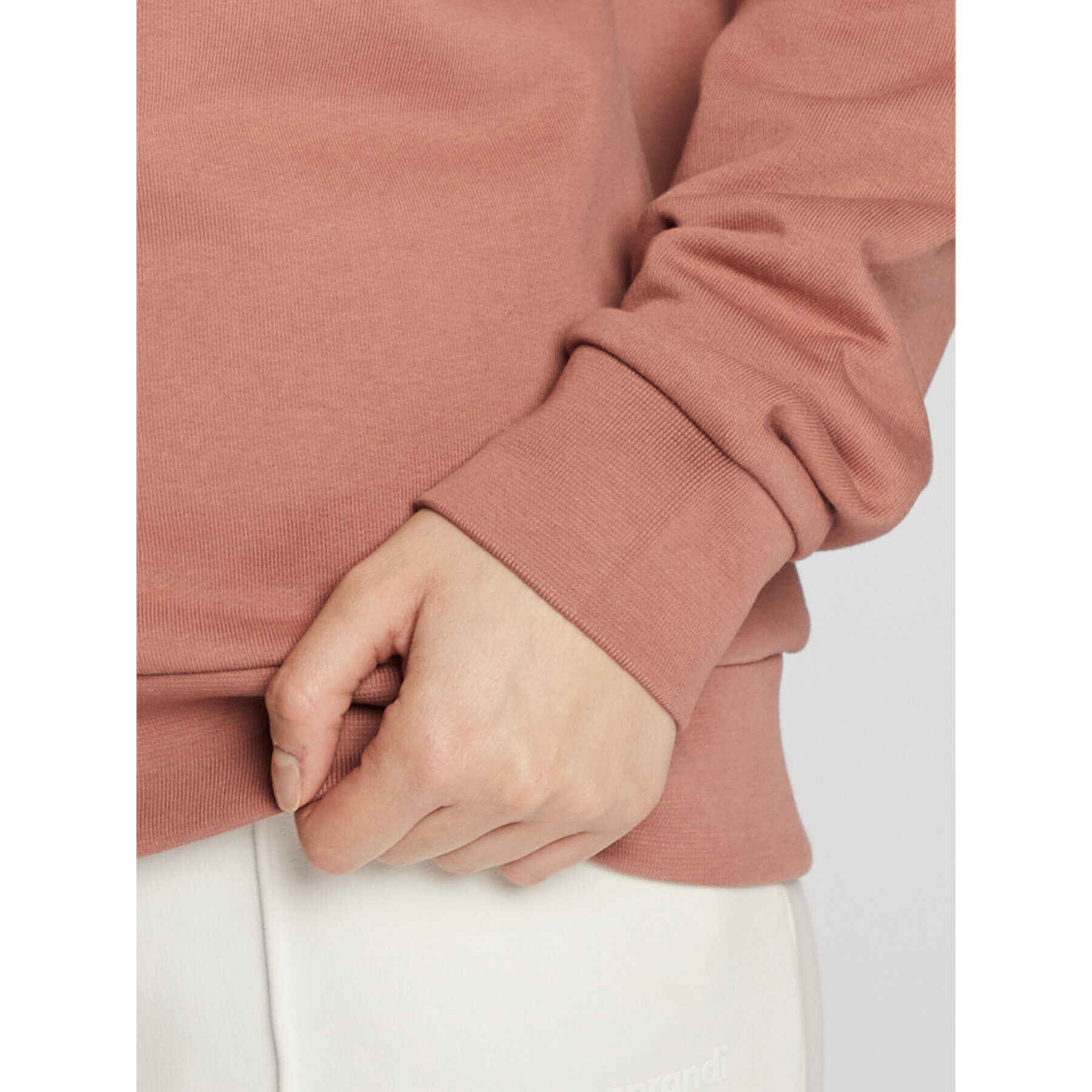 Jack Wolfskin Суитшърт Essential 1710132 Розов Regular Fit - Pepit.bg