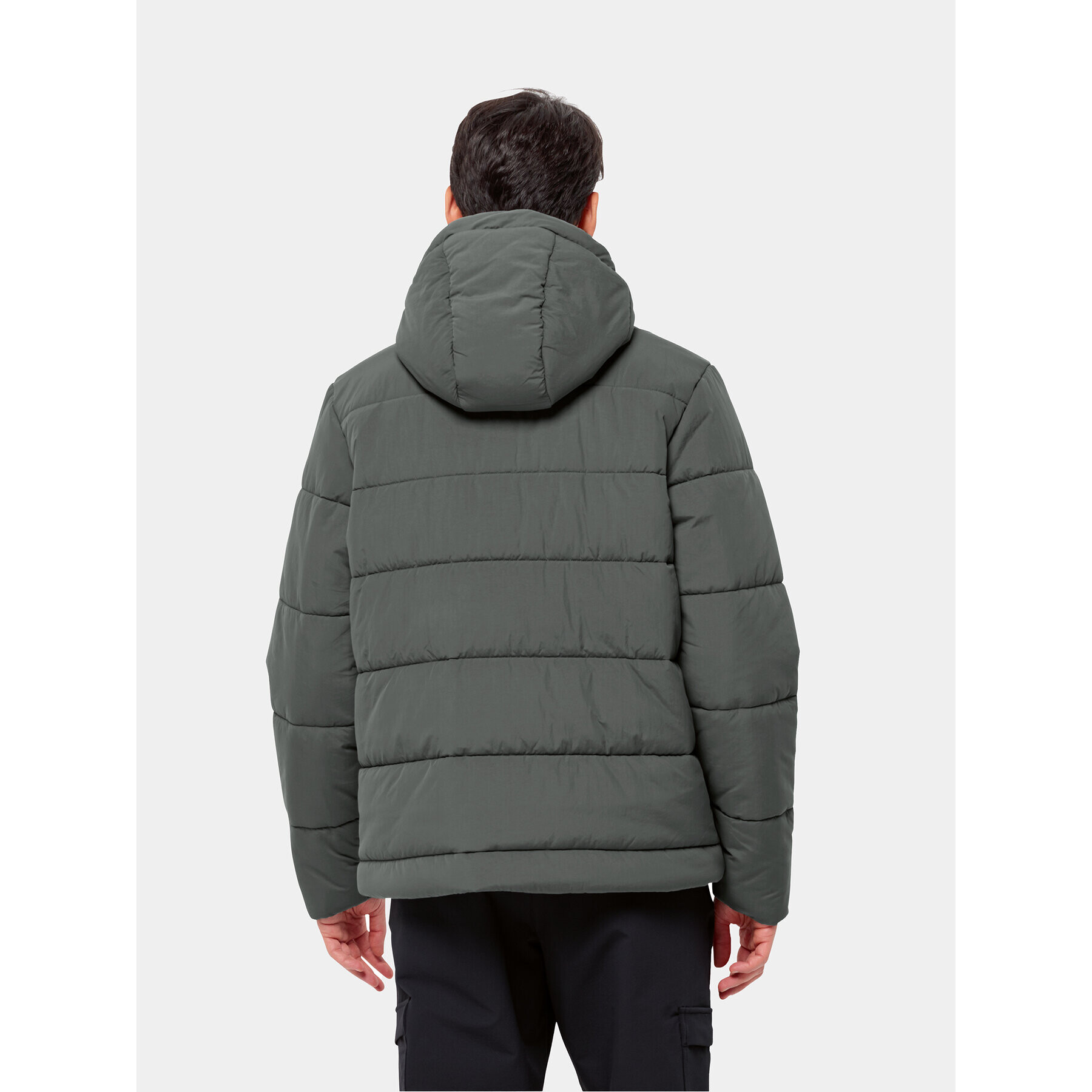 Jack Wolfskin Зимно яке Karolinger Jkt 1207831 Зелен Regular Fit - Pepit.bg