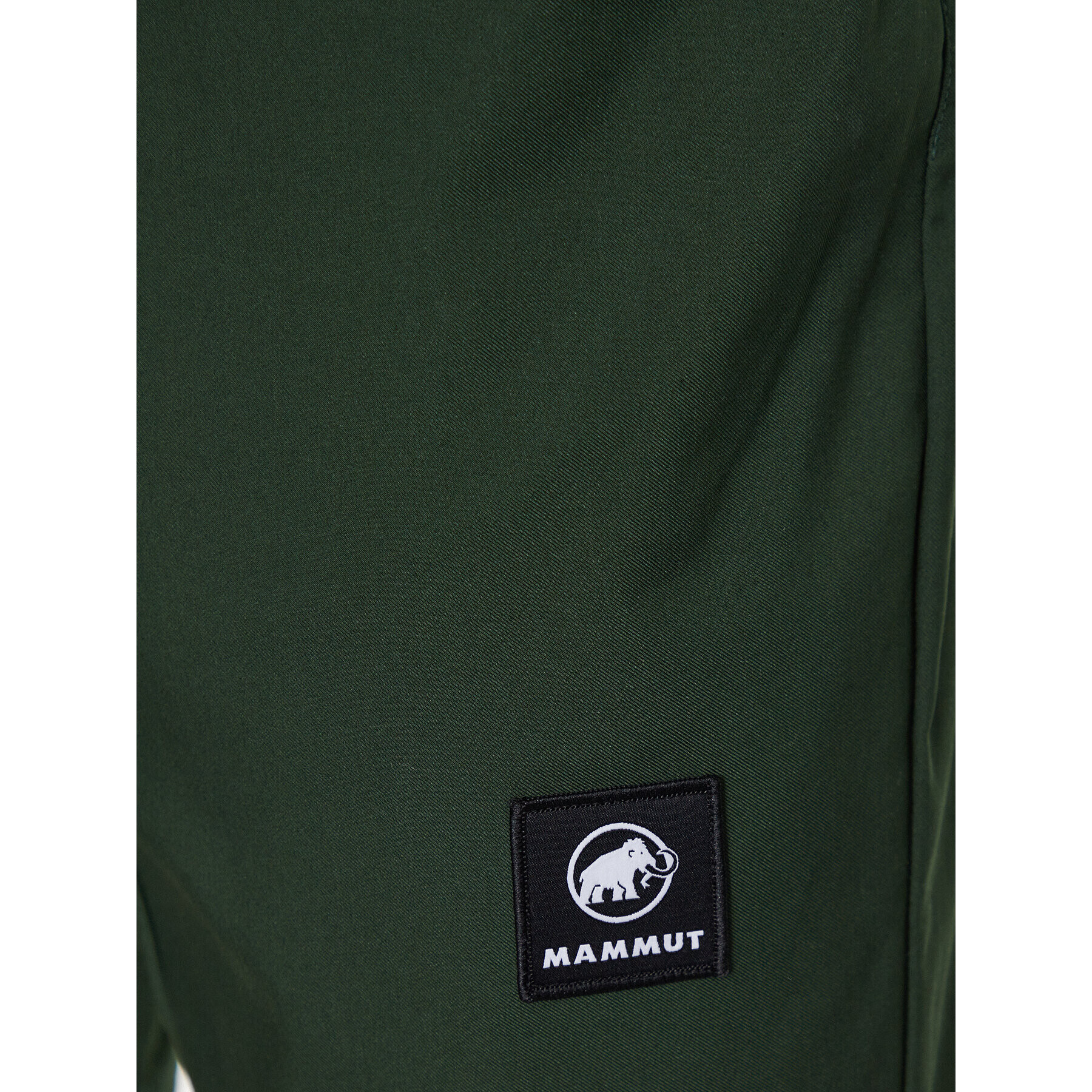 Mammut Спортни шорти 1023-00940 Зелен Regular Fit - Pepit.bg