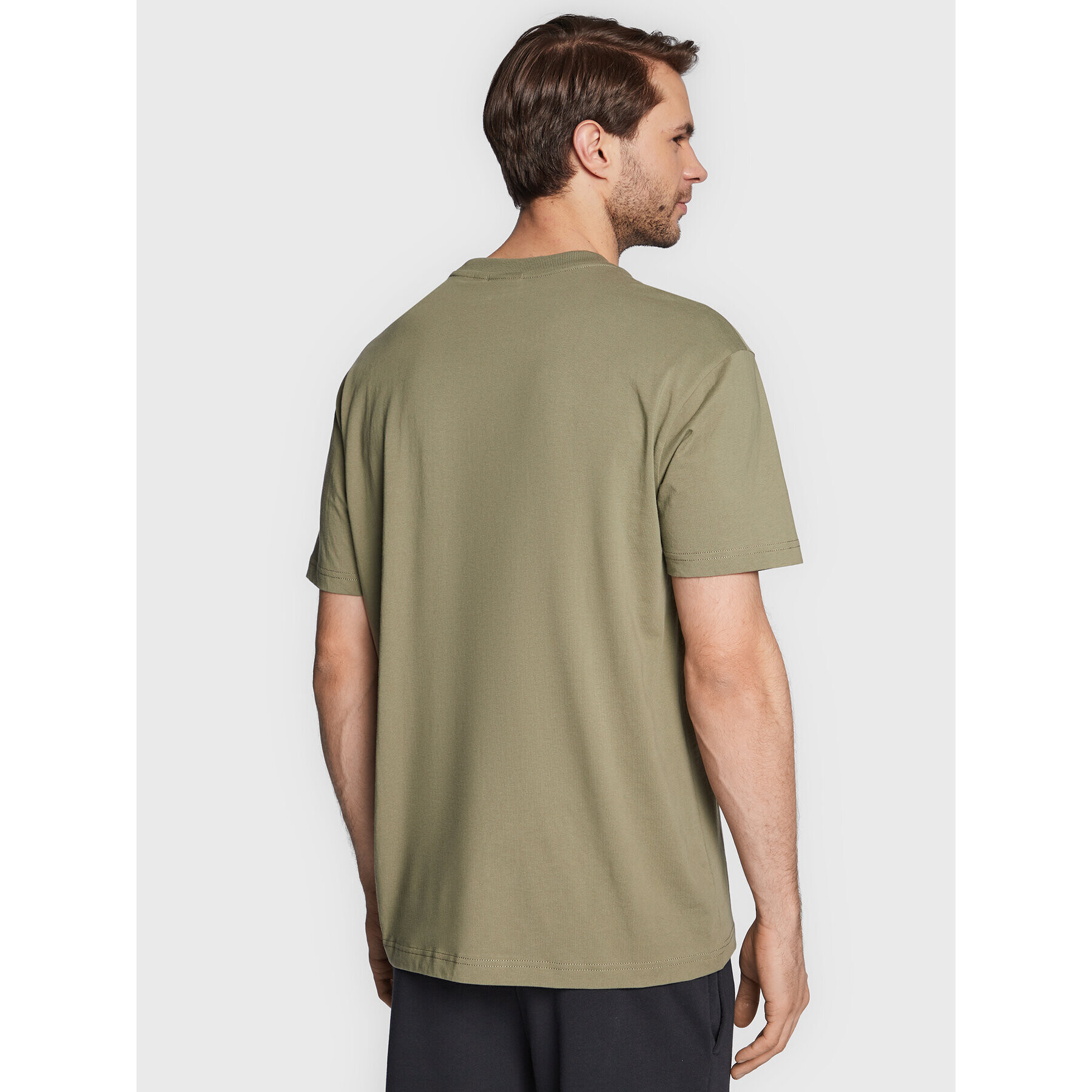 Napapijri Тишърт S-Back Country Ss NP0A4GM1 Зелен Regular Fit - Pepit.bg