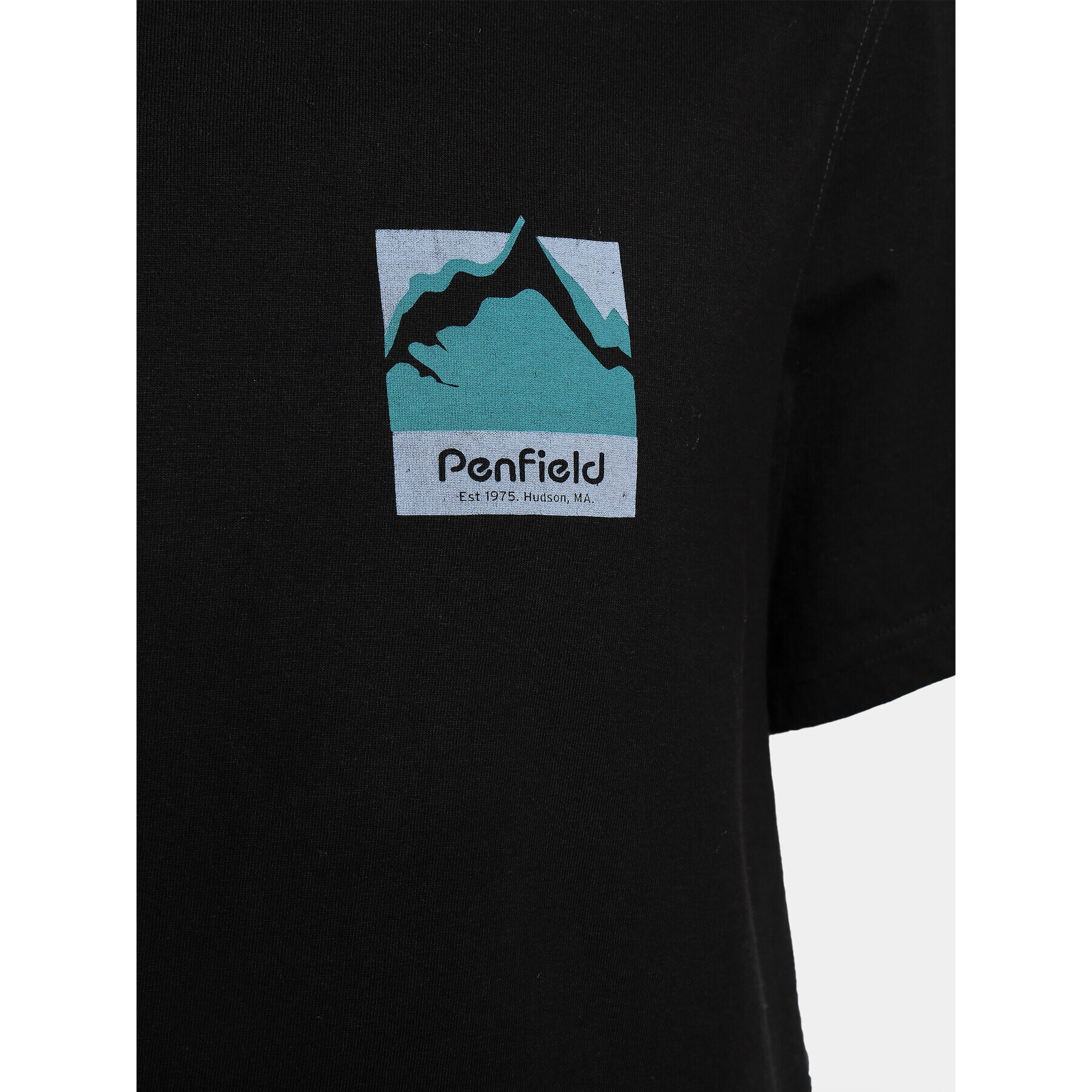 Penfield Тишърт PFD0223 Черен Regular Fit - Pepit.bg
