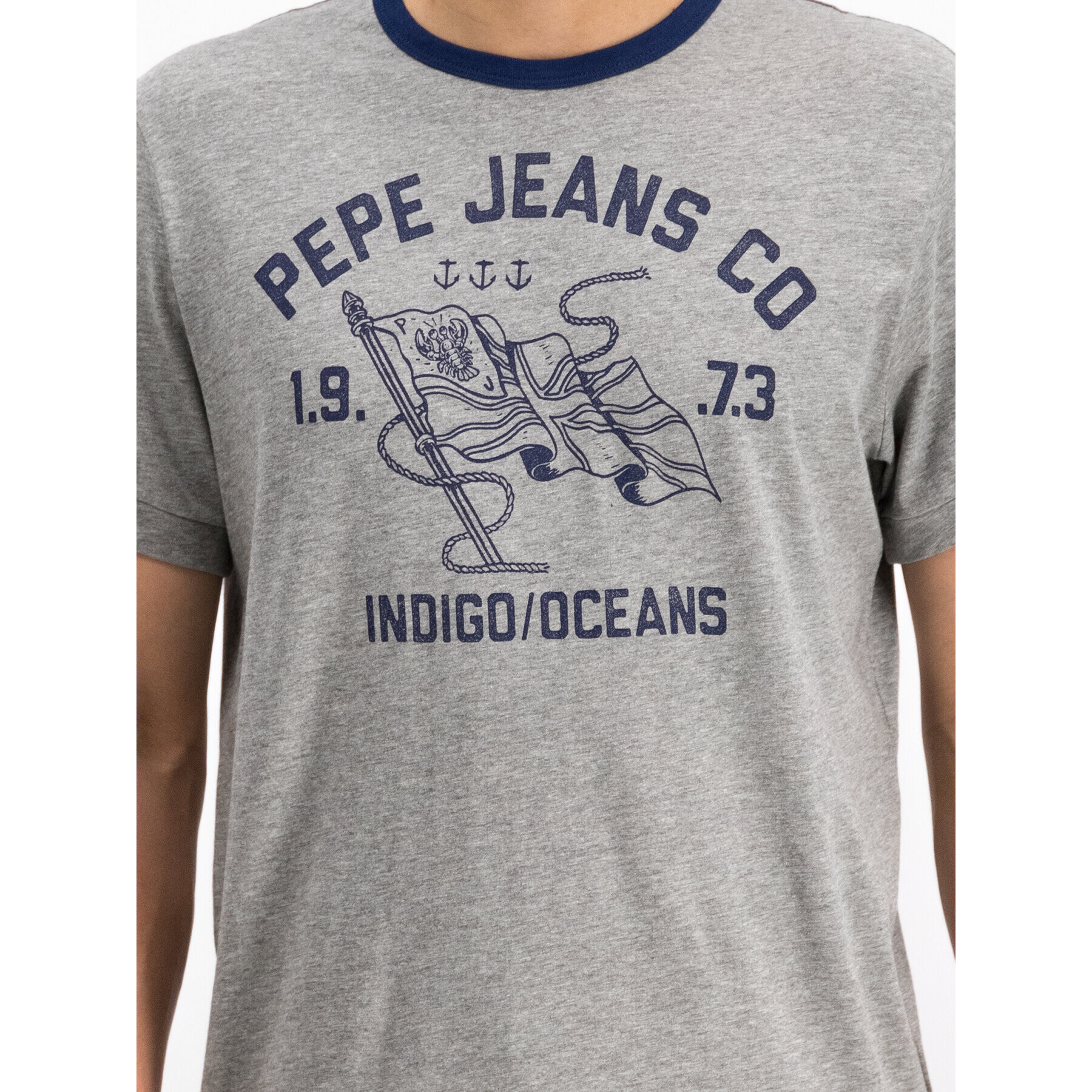 Pepe Jeans Тишърт PM506547 Сив Regular Fit - Pepit.bg