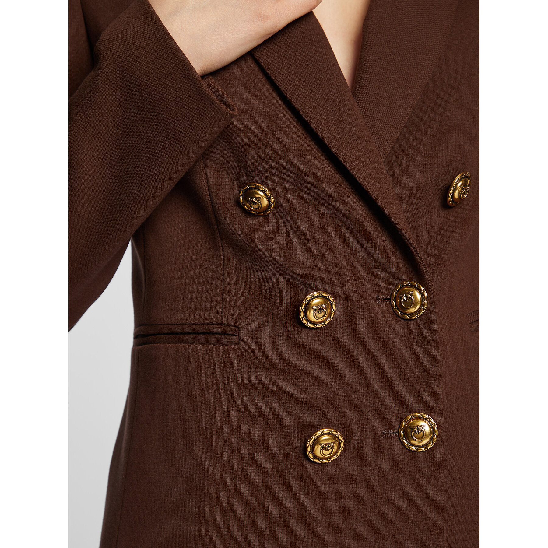 Pinko Сако Alexia 6 1G17VP 1739 Кафяв Regular Fit - Pepit.bg