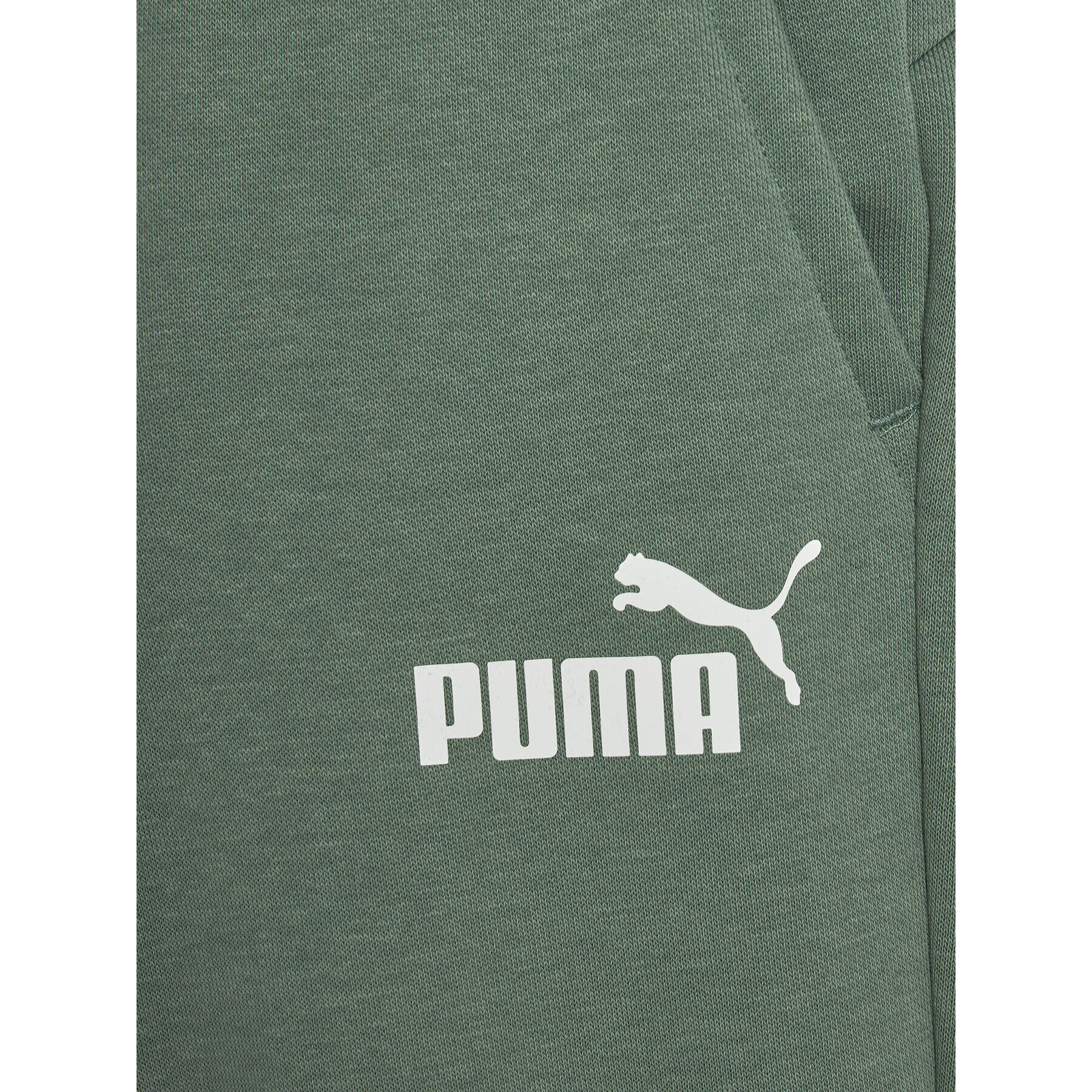 Puma Долнище анцуг Ess Logo 586973 Зелен Regular Fit - Pepit.bg